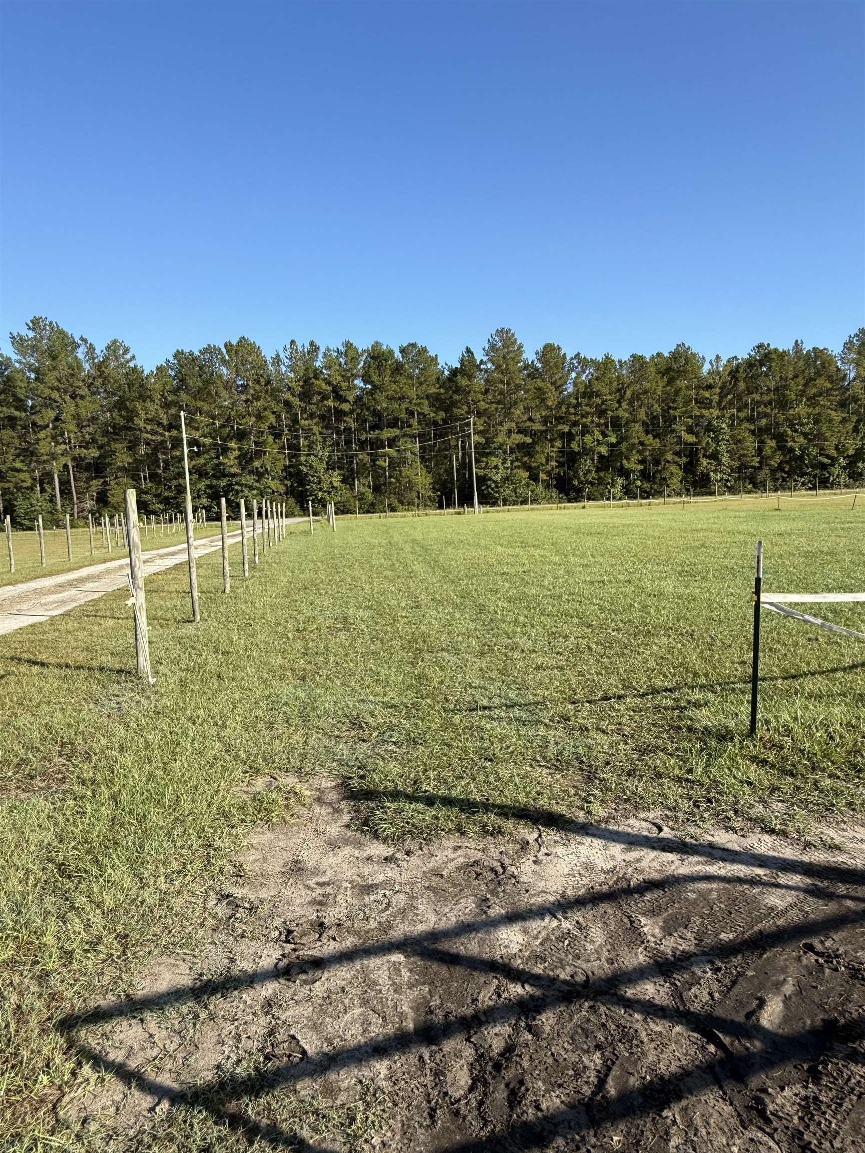 4224 Horse Pen Bay Rd. Property Photo 18