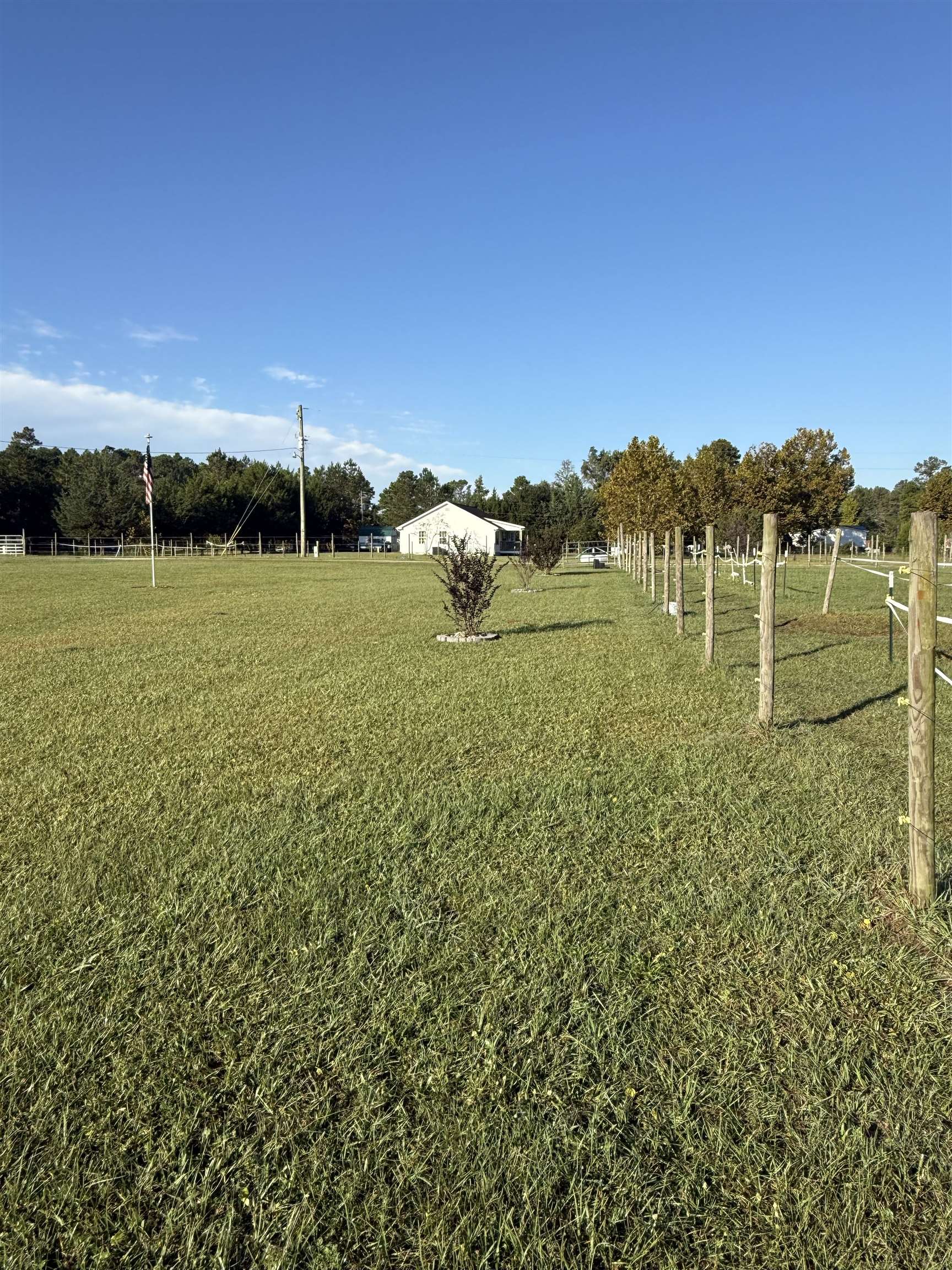 4224 Horse Pen Bay Rd. Property Photo 22