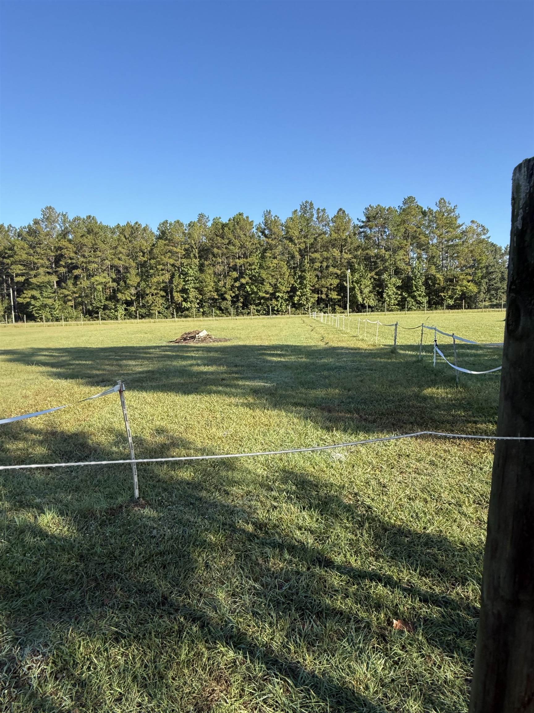 4224 Horse Pen Bay Rd. Property Photo 23