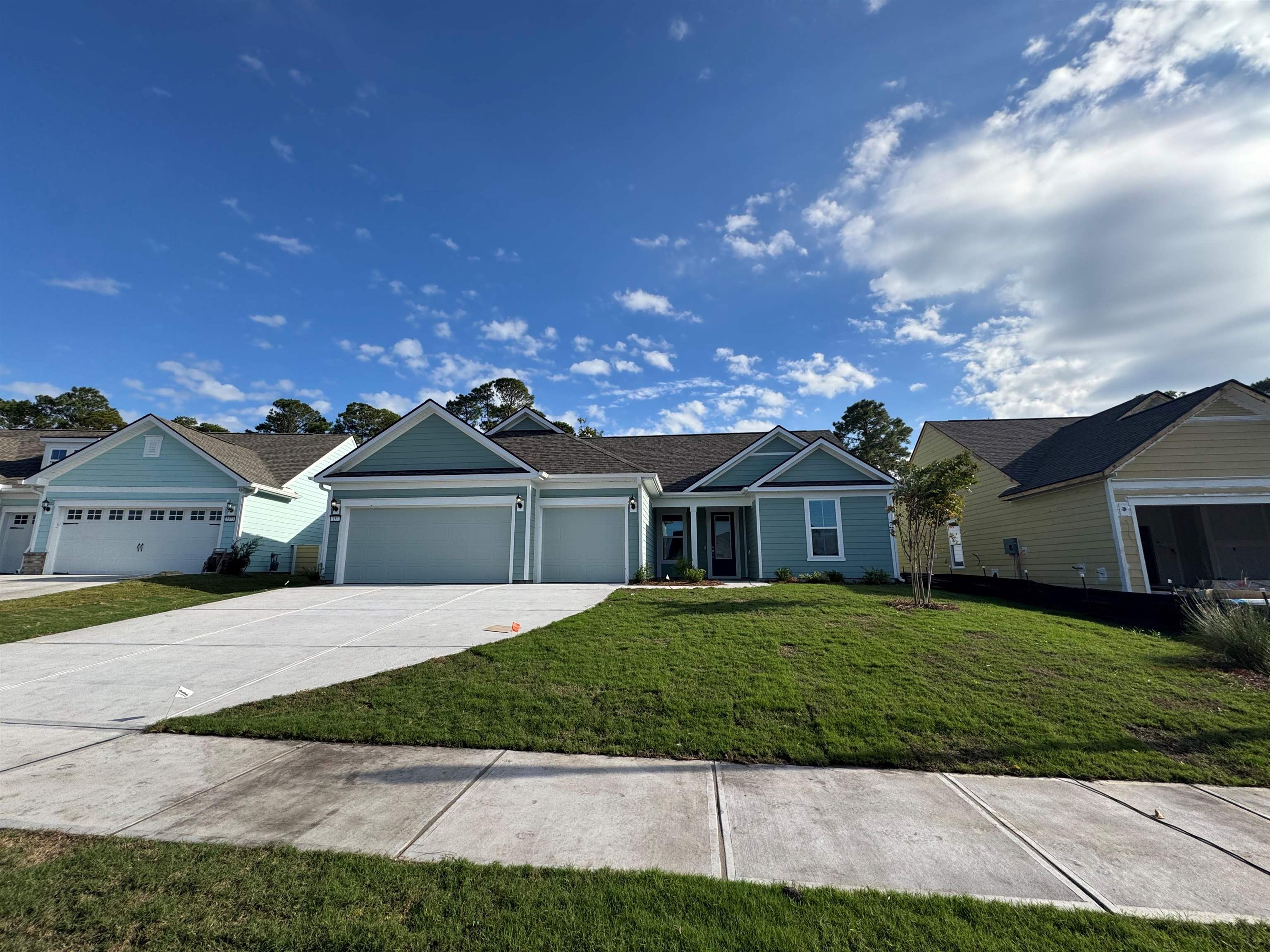 1577 Crested Iris Way Property Photo 2