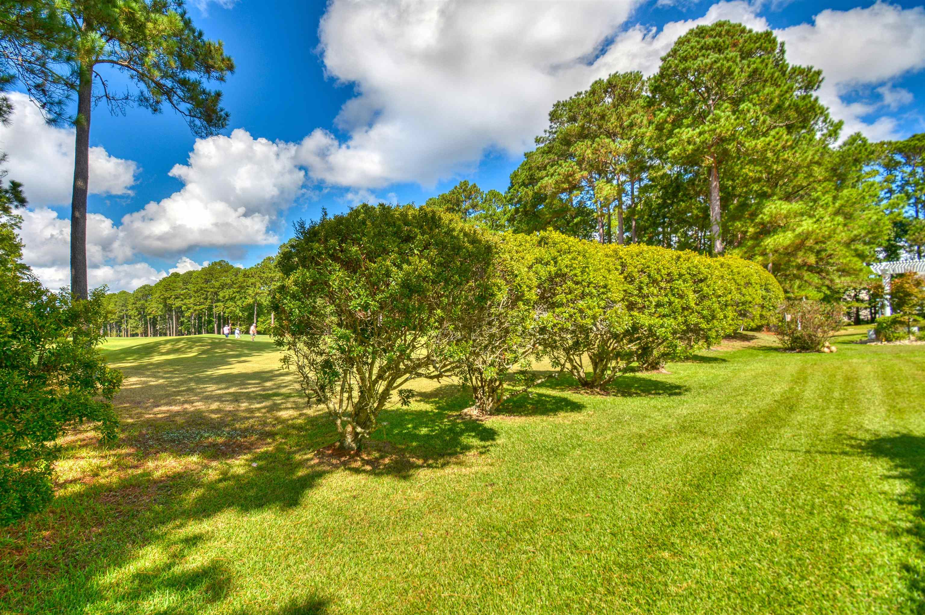1201 Harrogate Ct. Property Photo 40