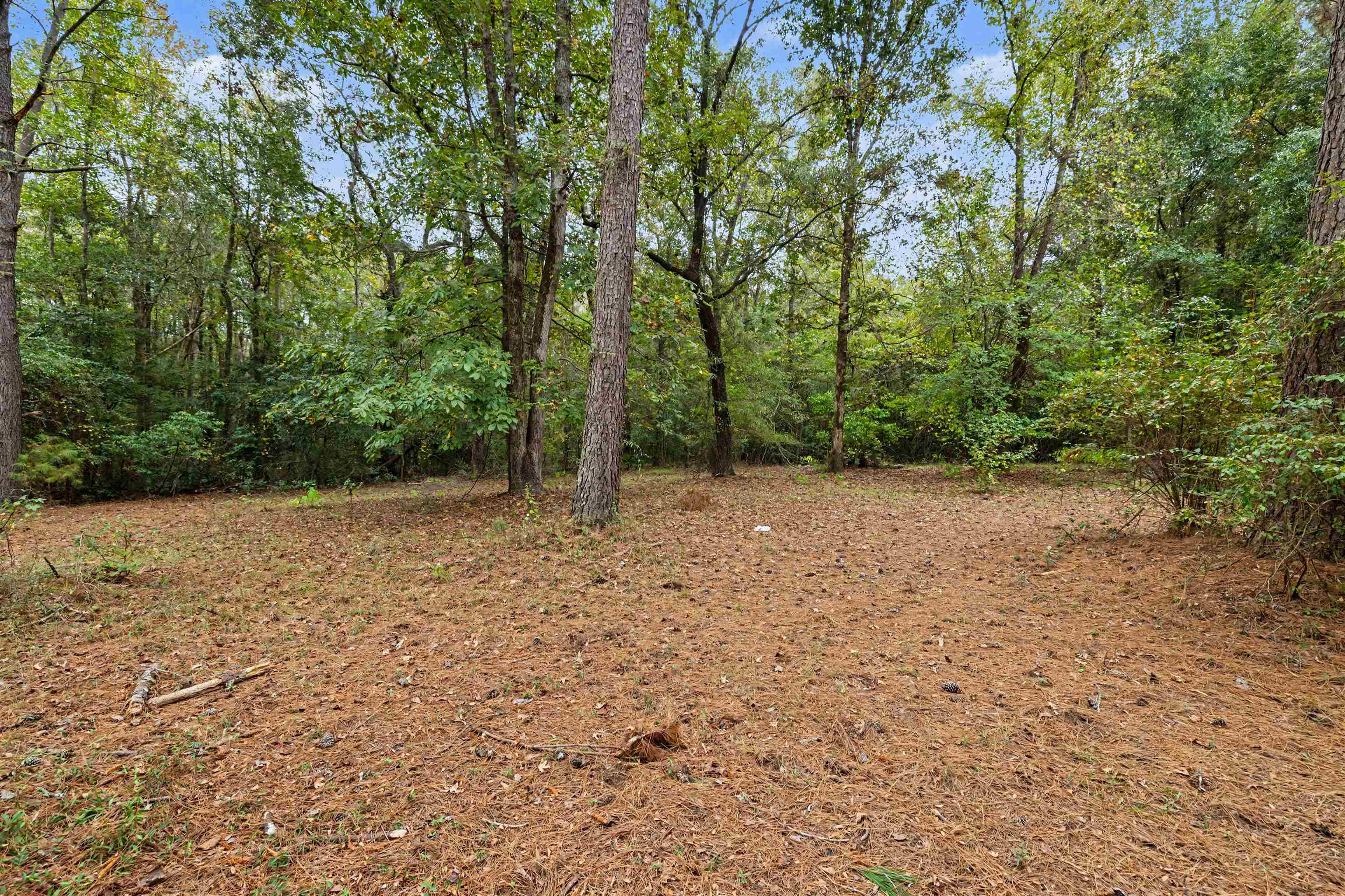 1068 Old River Rd. Property Photo 8