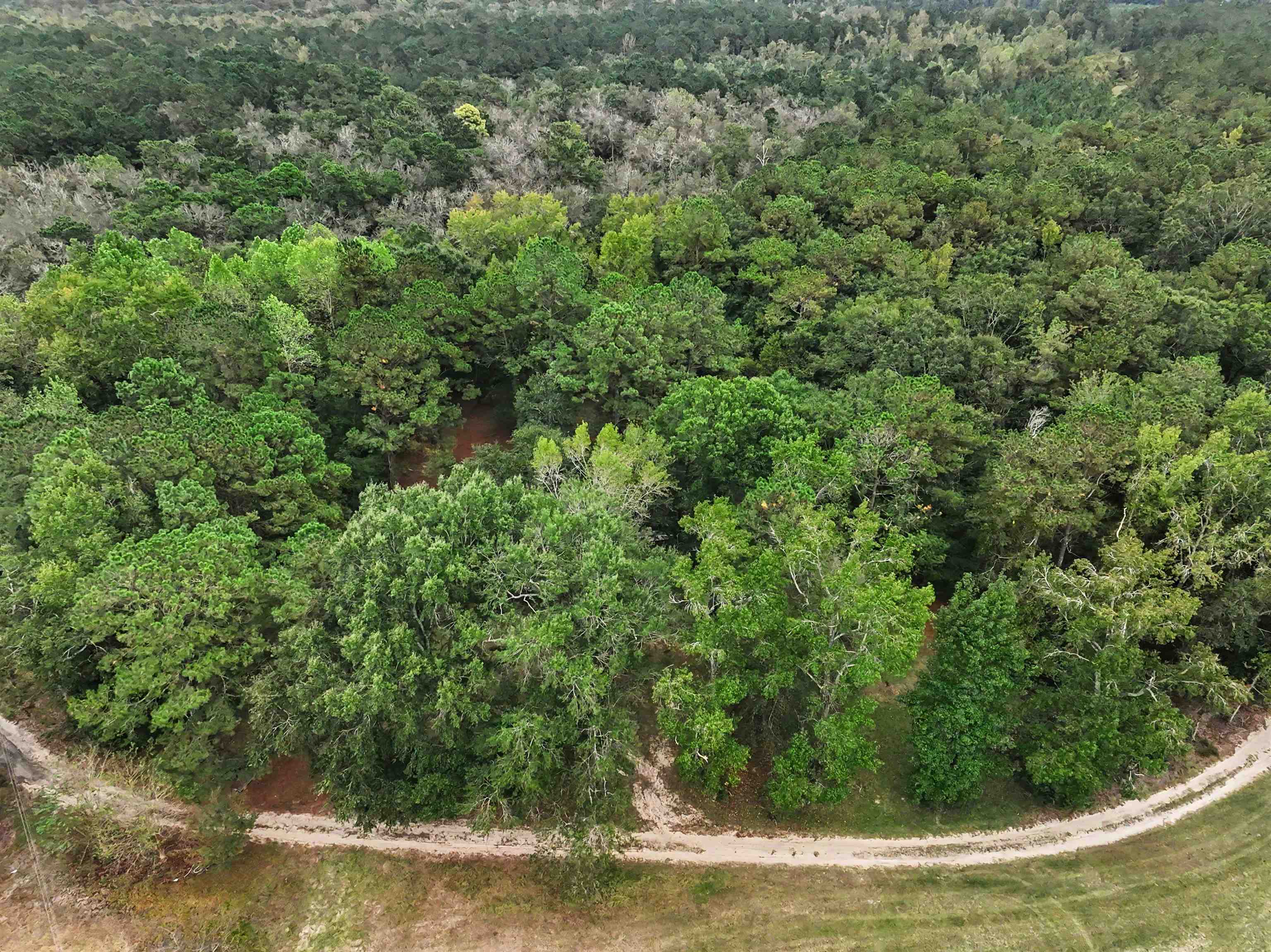 1068 Old River Rd. Property Photo 15