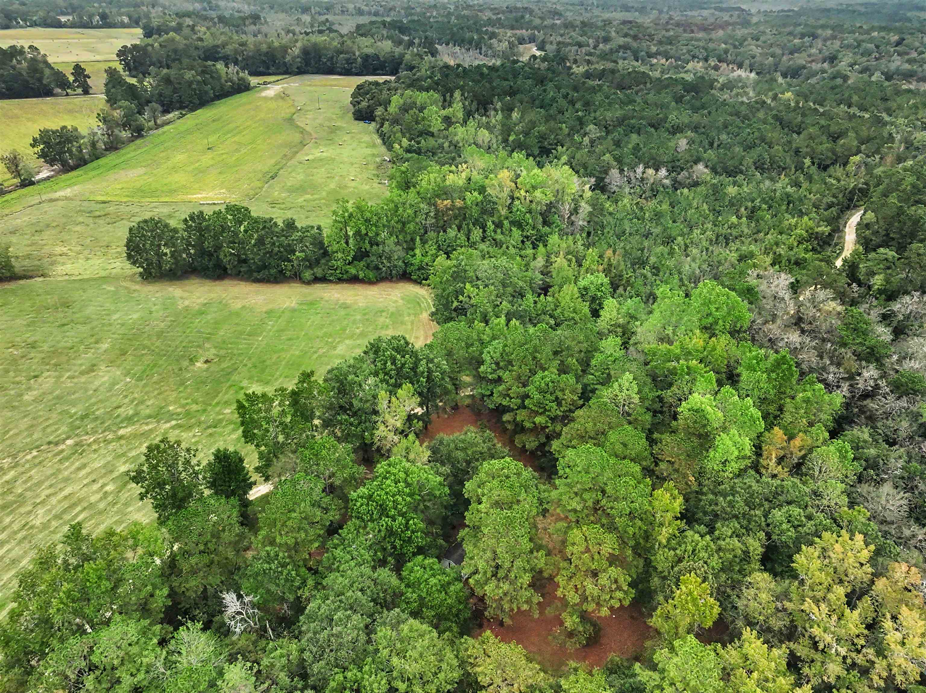 1068 Old River Rd. Property Photo 17