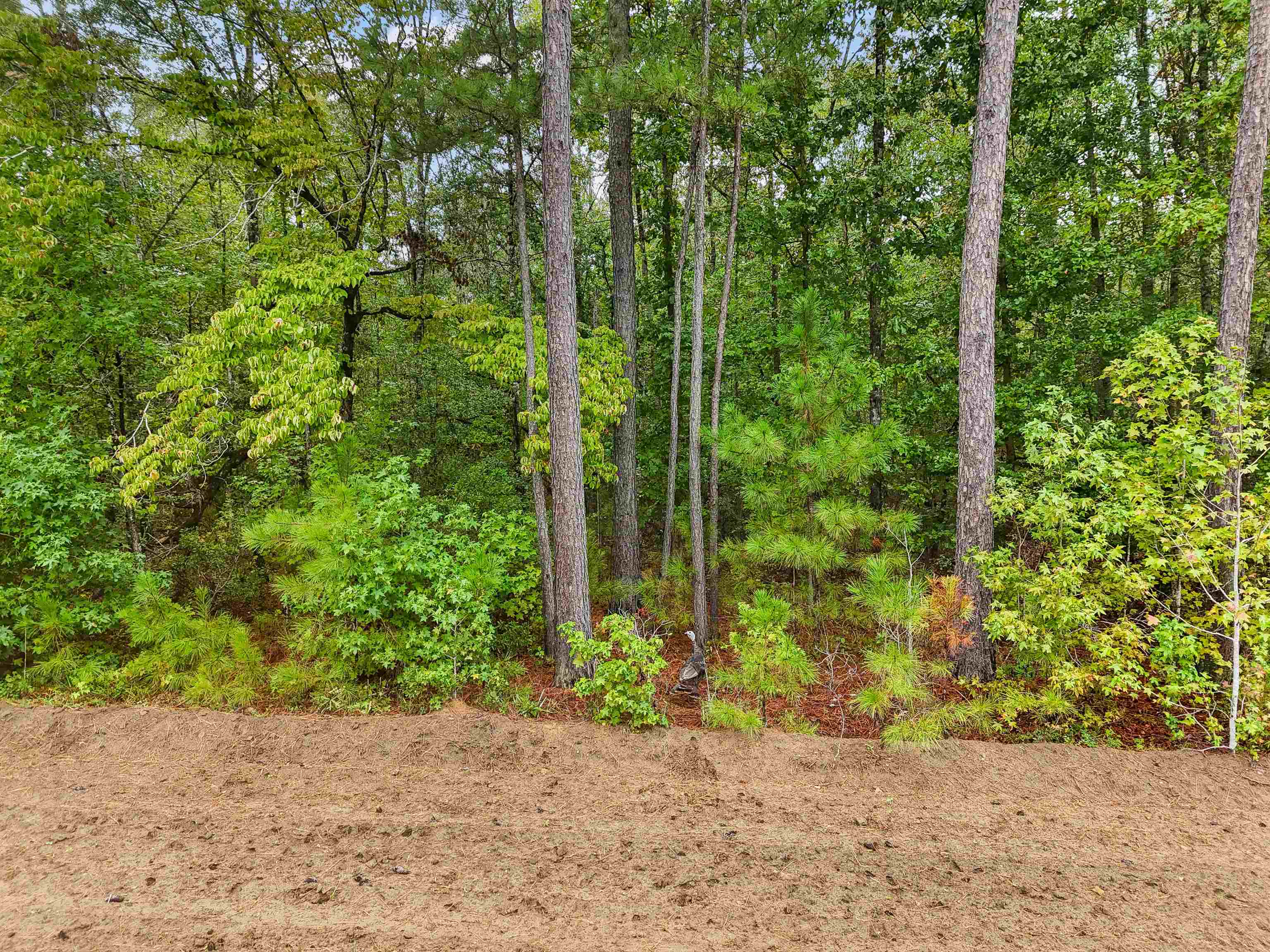 220 Boyd Rd Property Photo 90