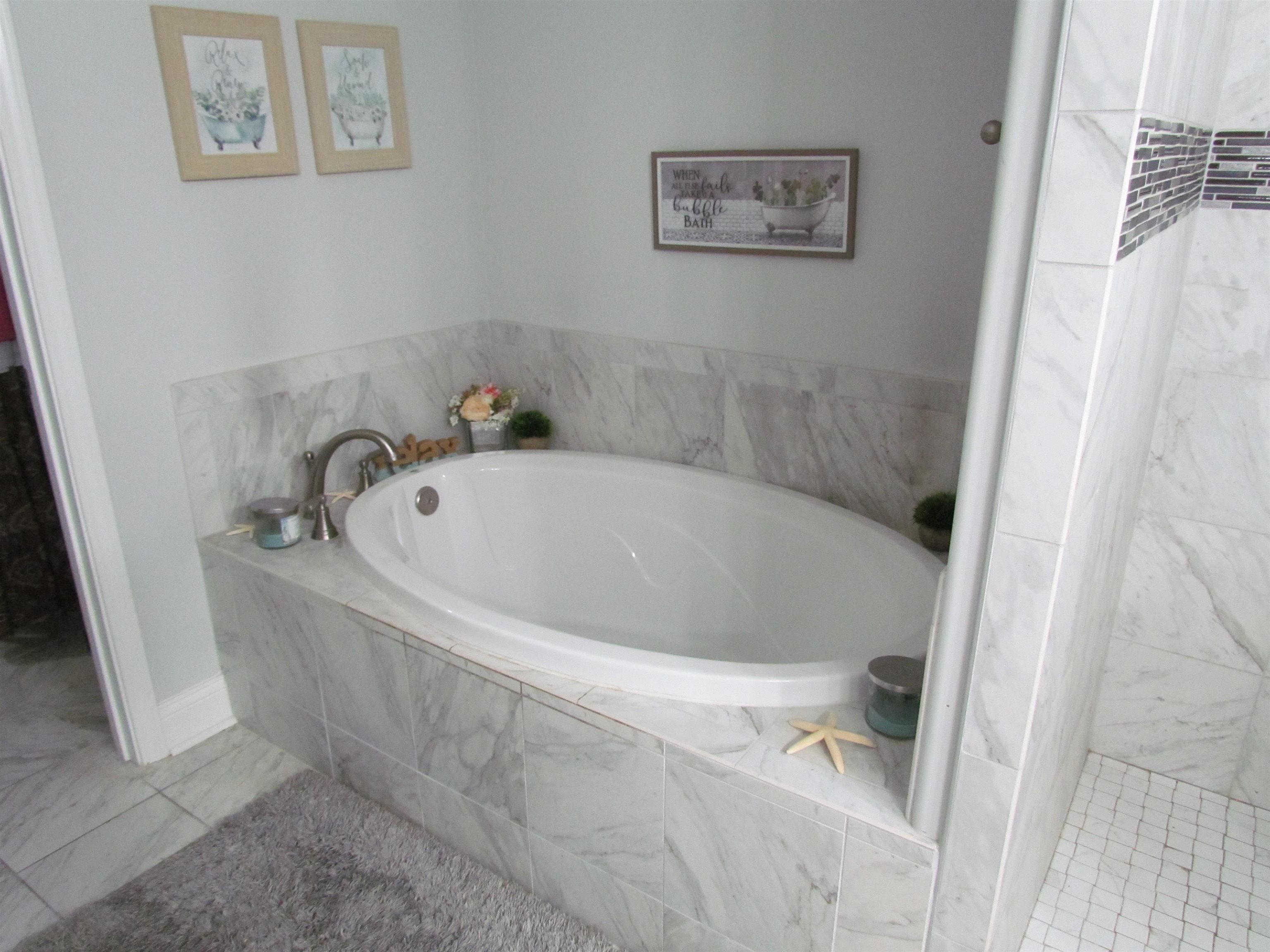 194 Swallowtail Ct. Property Photo 10