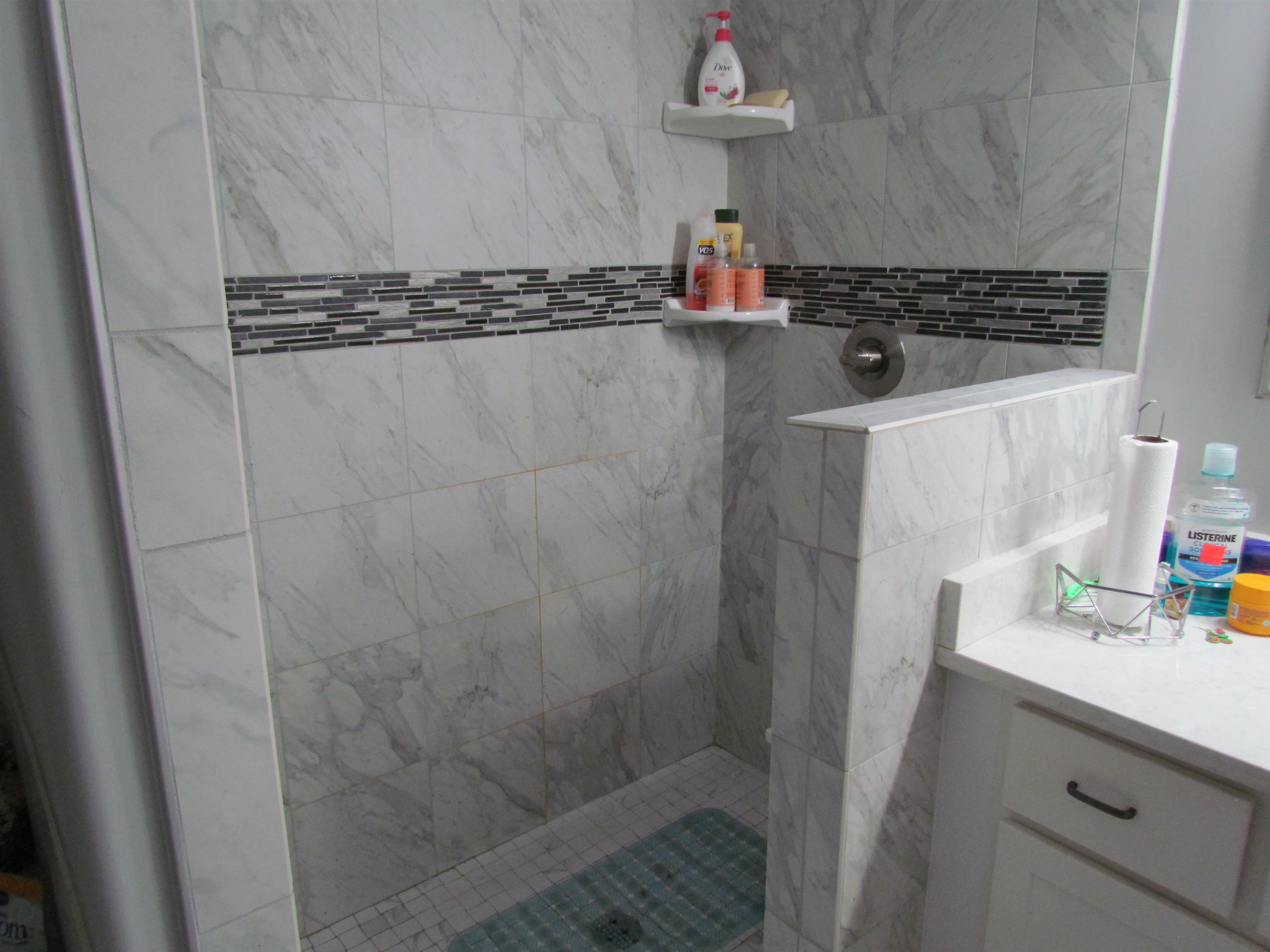 194 Swallowtail Ct. Property Photo 11