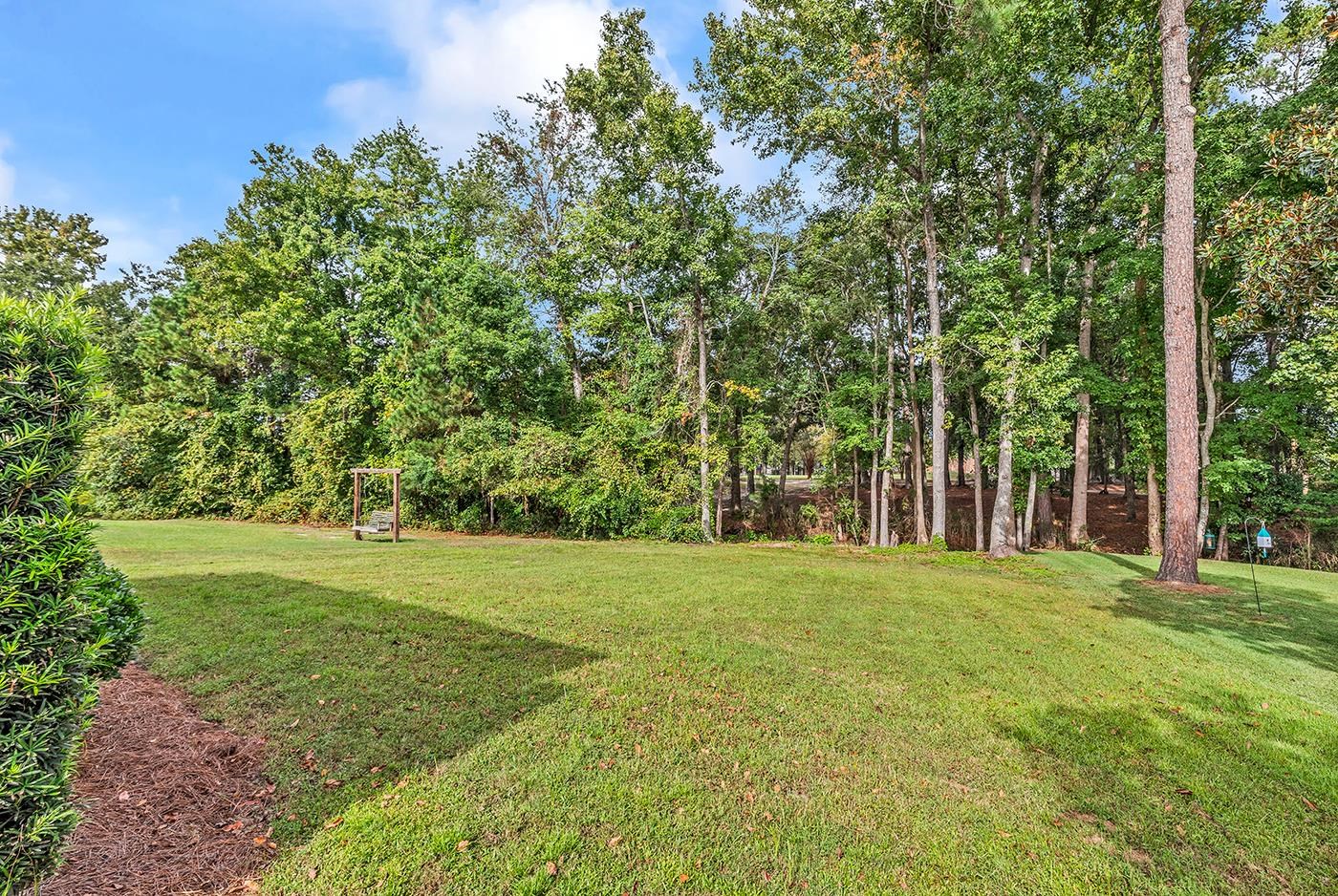 3556 Cedar Creek Run Property Photo 33