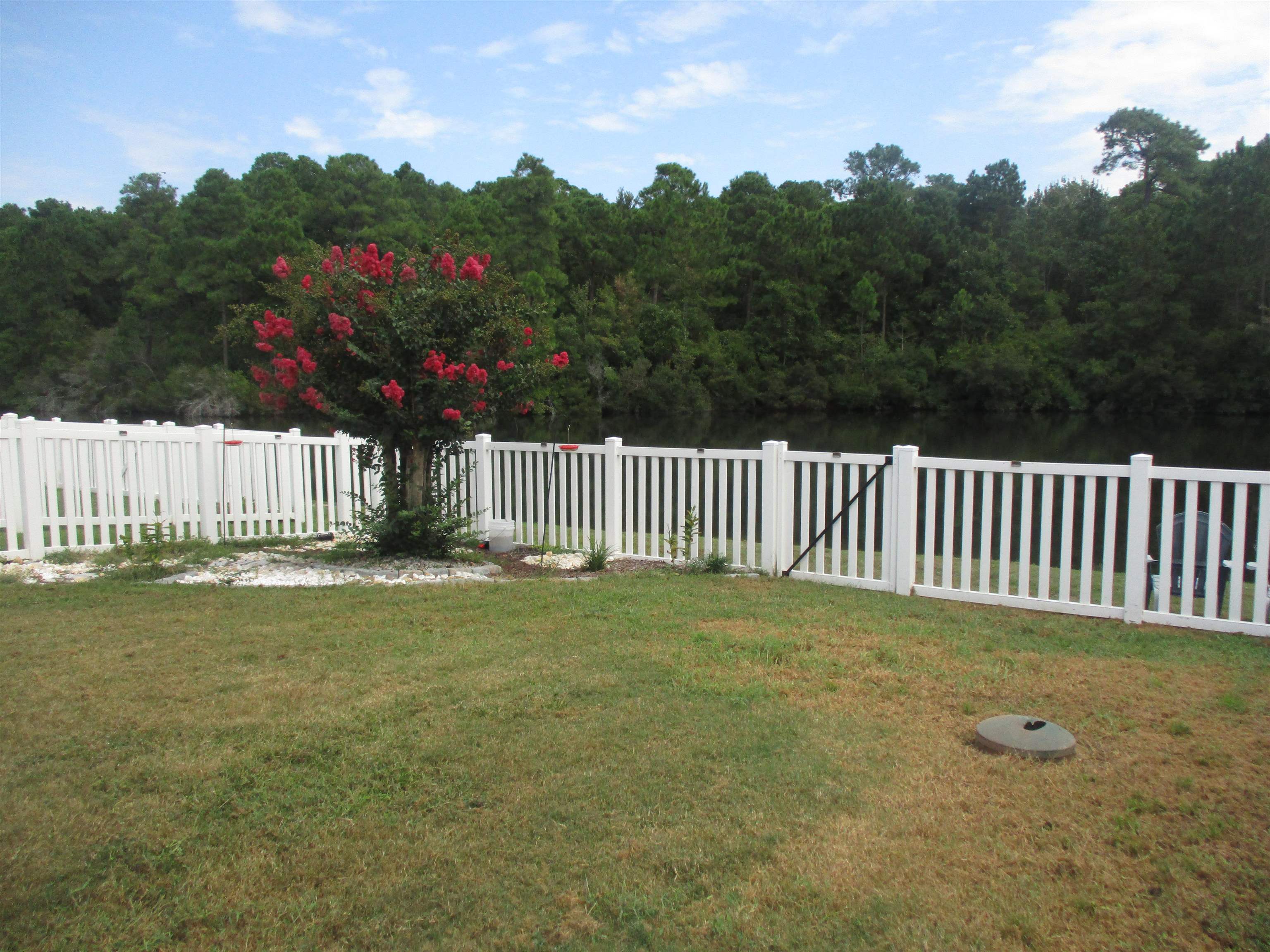 442 Dandelion Ln. Property Photo 3