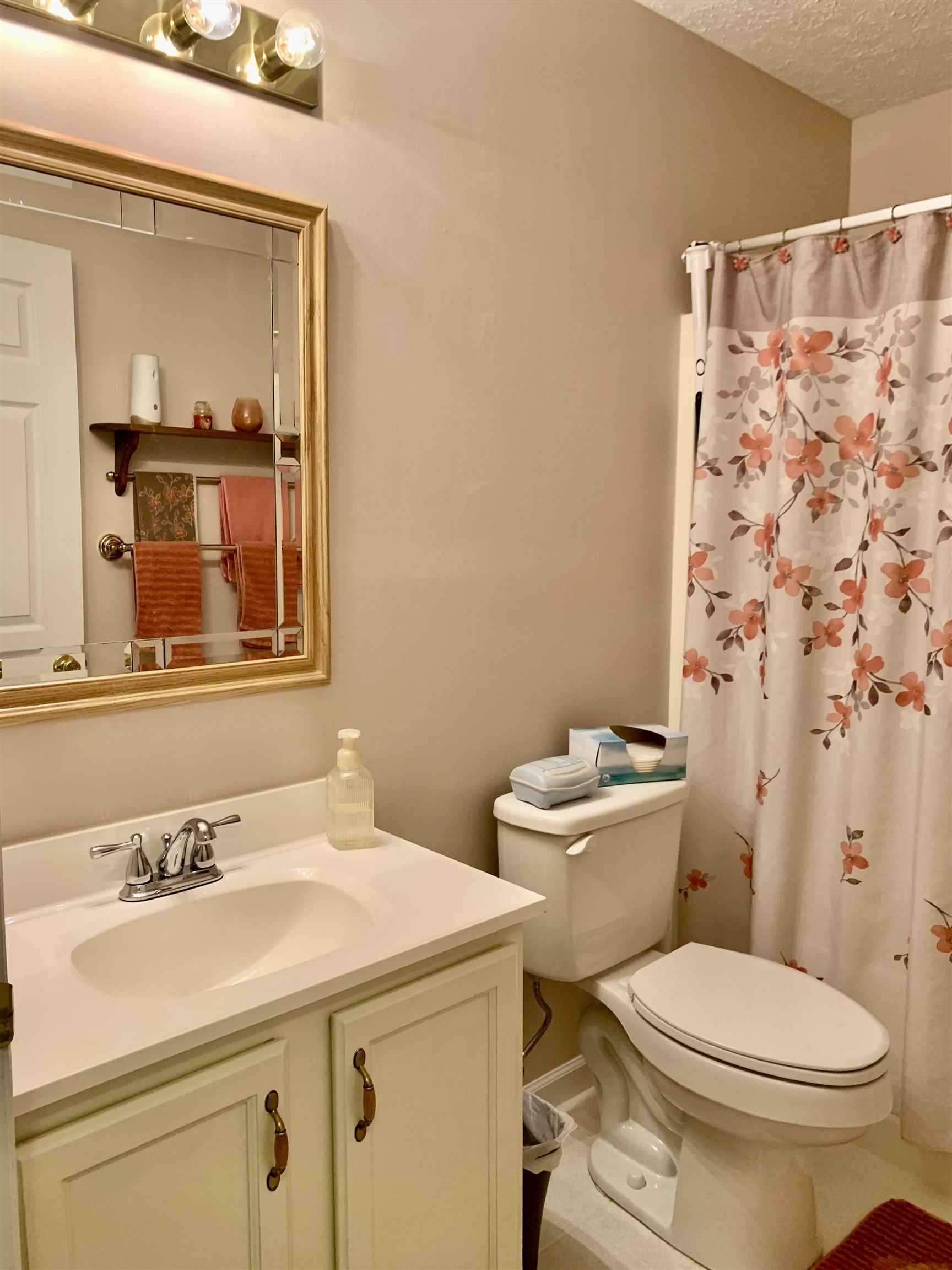 6610 Cinnamon Fern Ln. Property Photo 17