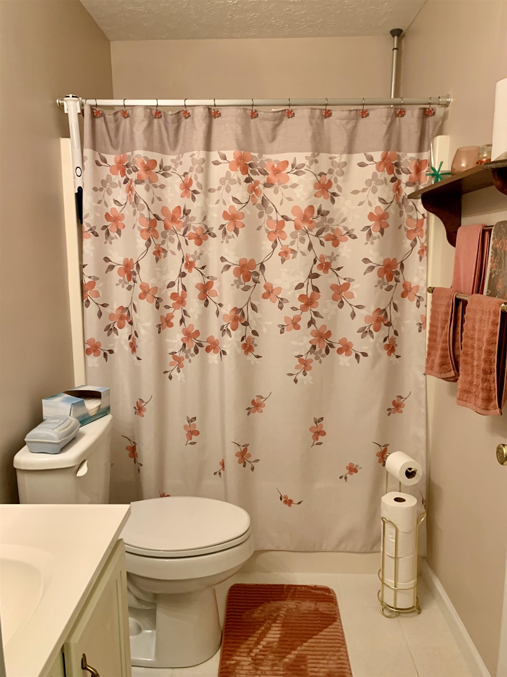6610 Cinnamon Fern Ln. Property Photo 18