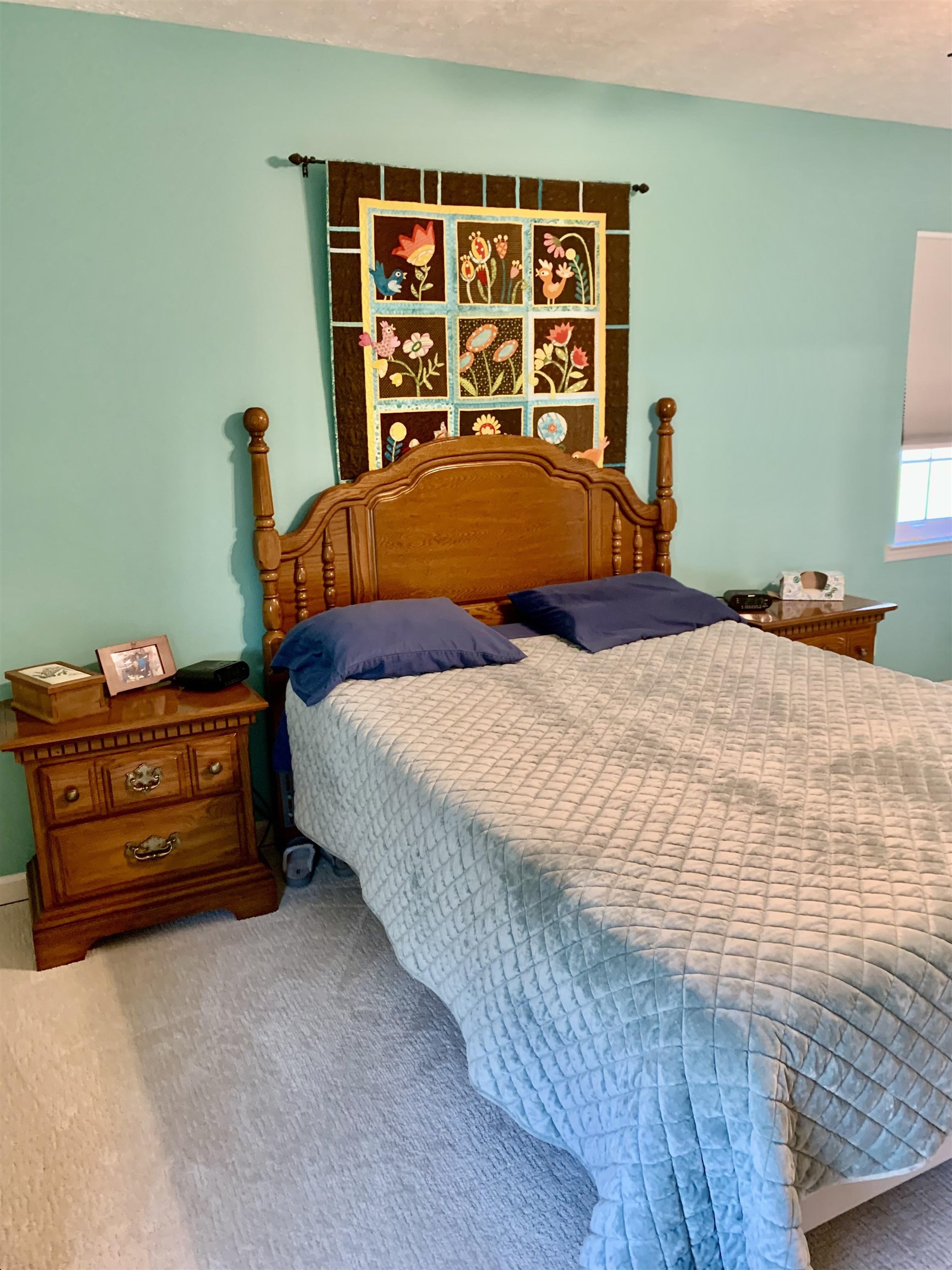 6610 Cinnamon Fern Ln. Property Photo 24