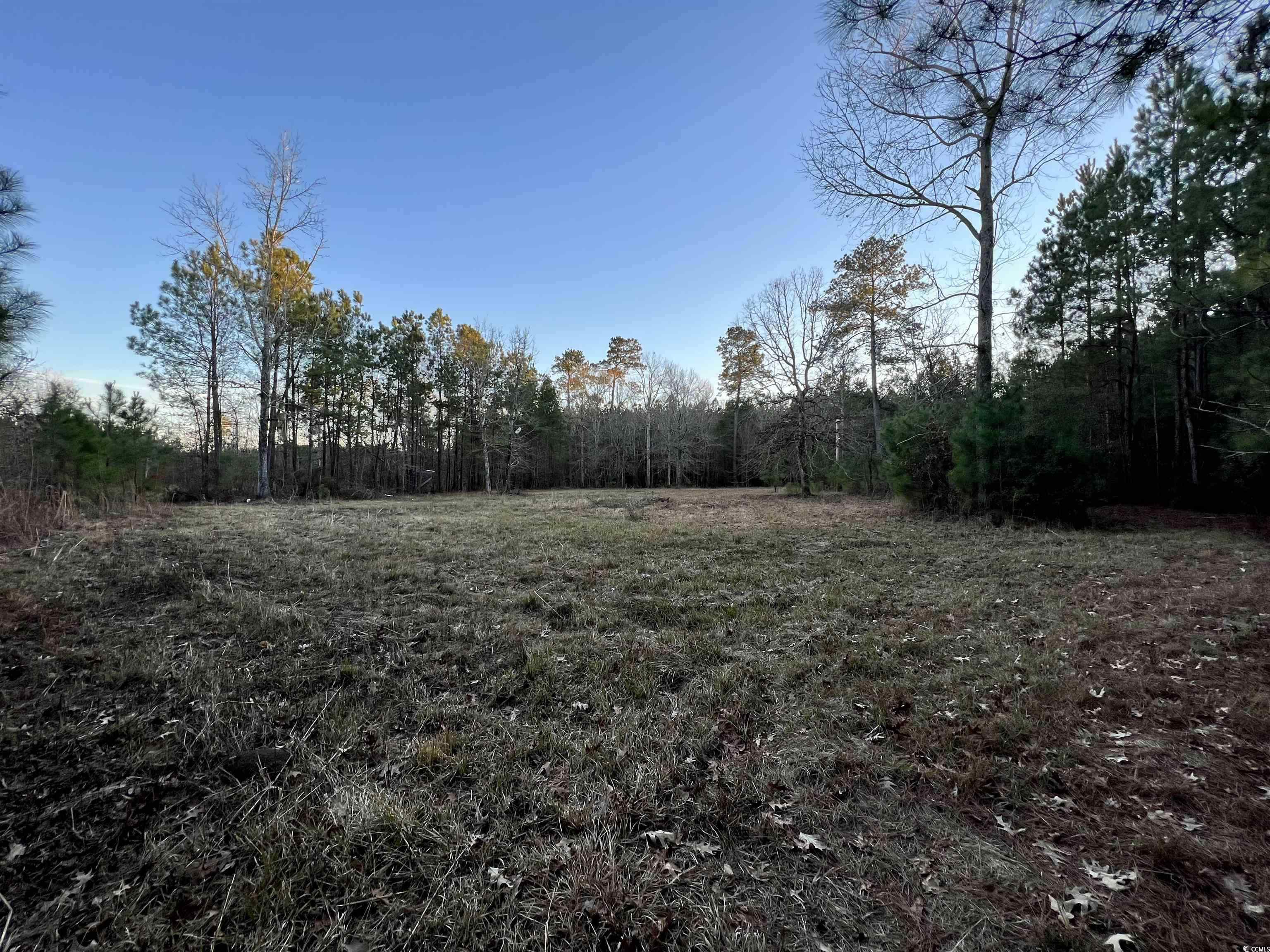 9207 County Line Rd. Property Photo 3