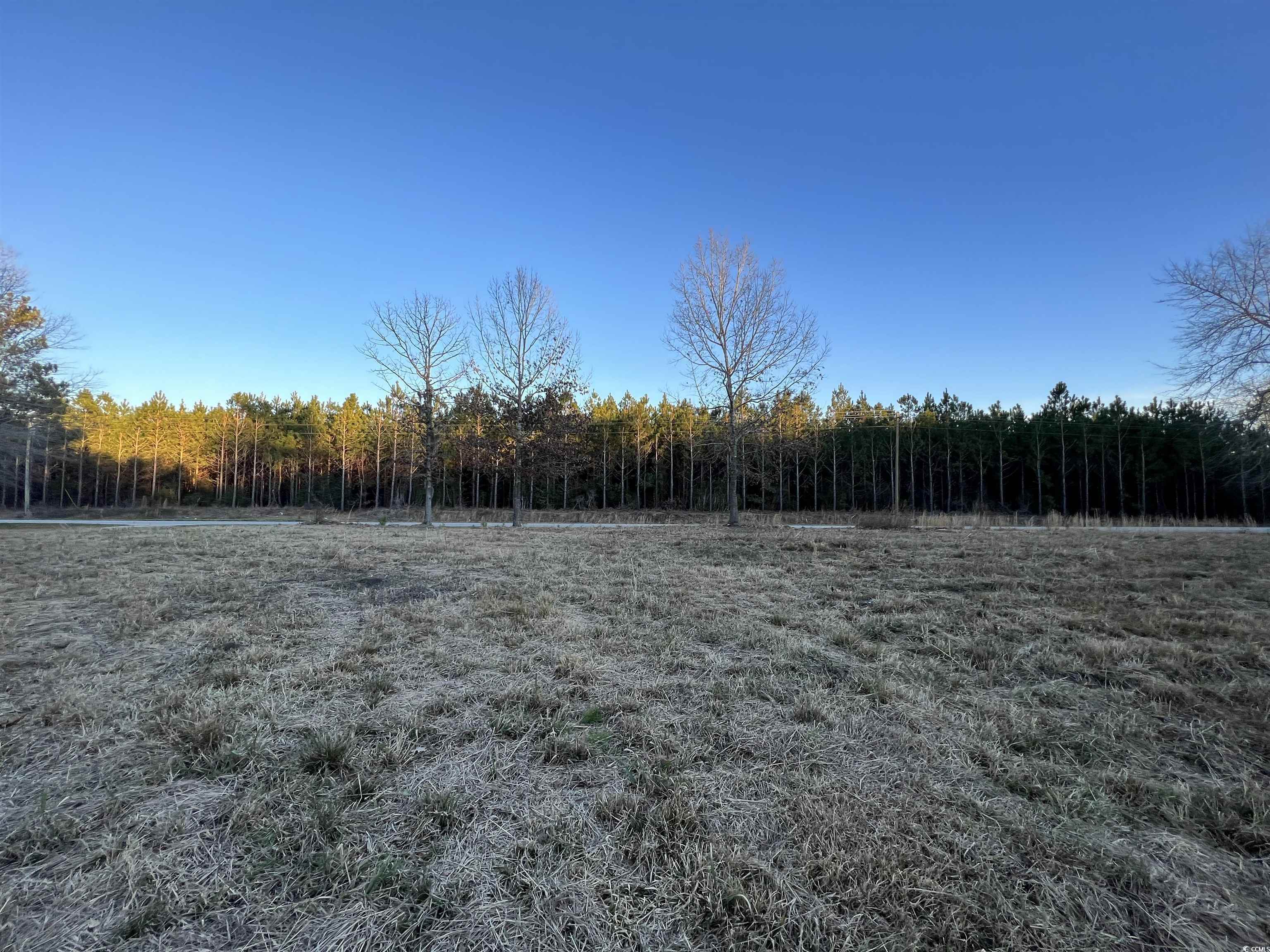 9207 County Line Rd. Property Photo 4