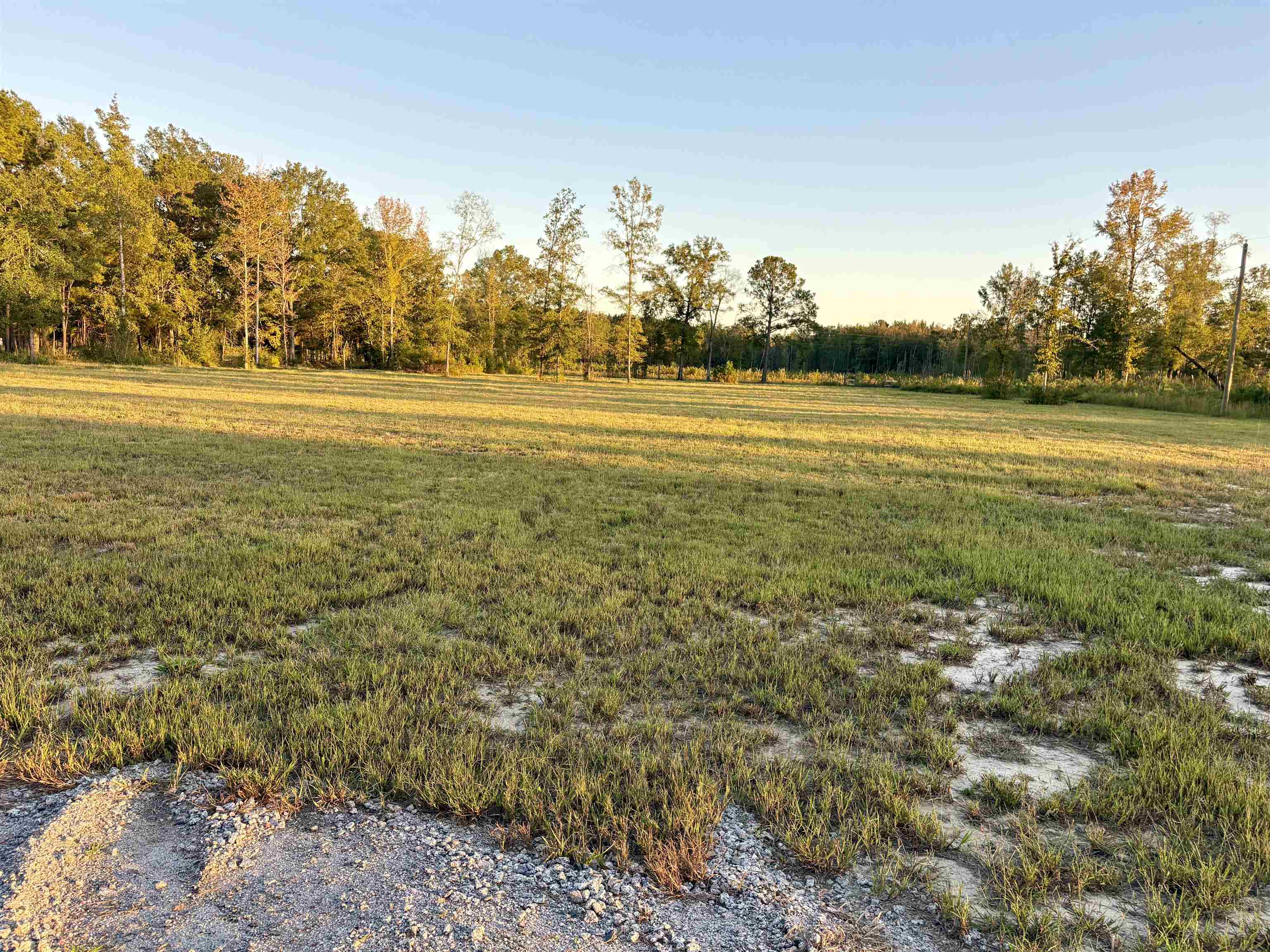 2710 Holly Rd. Property Photo 5