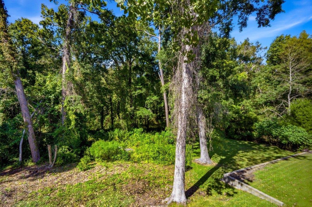 1309 Painted Tree Ln. Property Photo 7