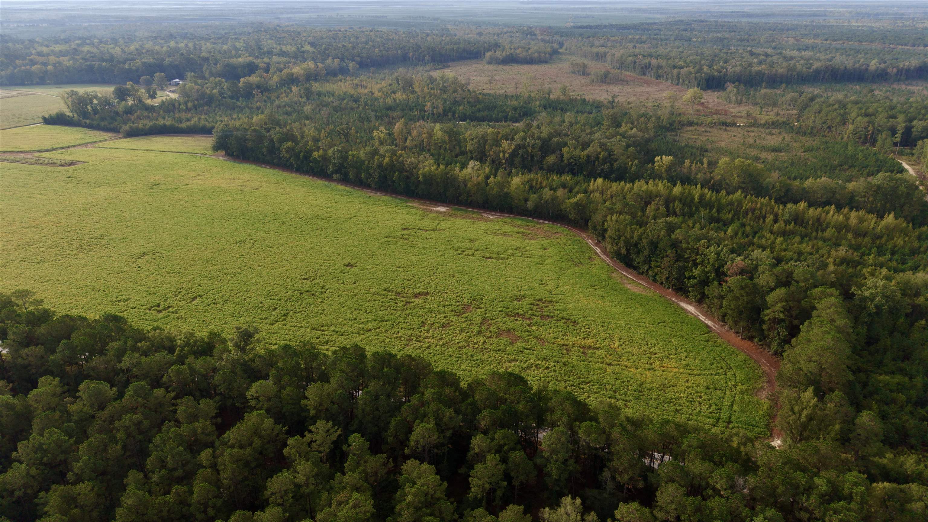 Tbd Terrell's Bay Rd. Property Photo 2