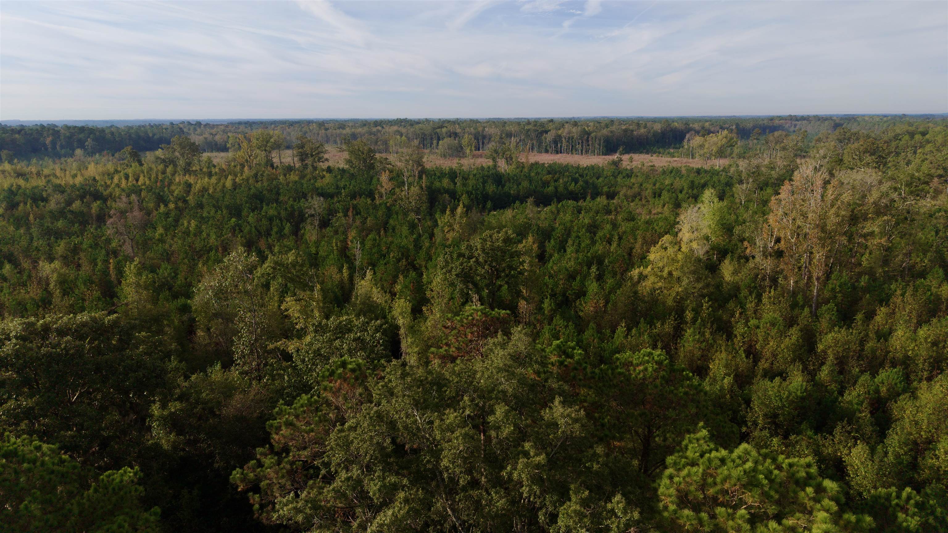 Tbd Terrell's Bay Rd. Property Photo 3