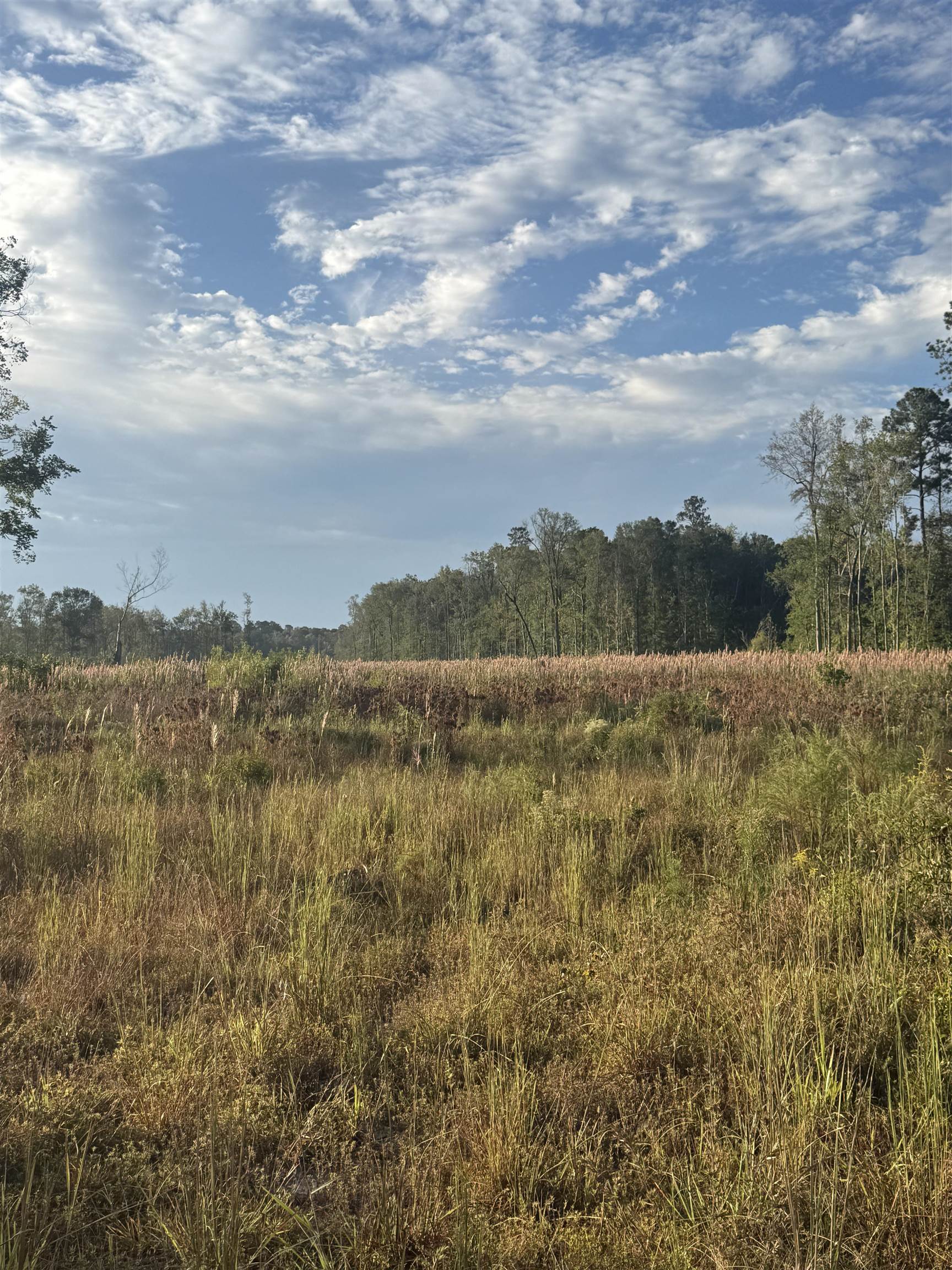 Tbd Terrell's Bay Rd. Property Photo 7
