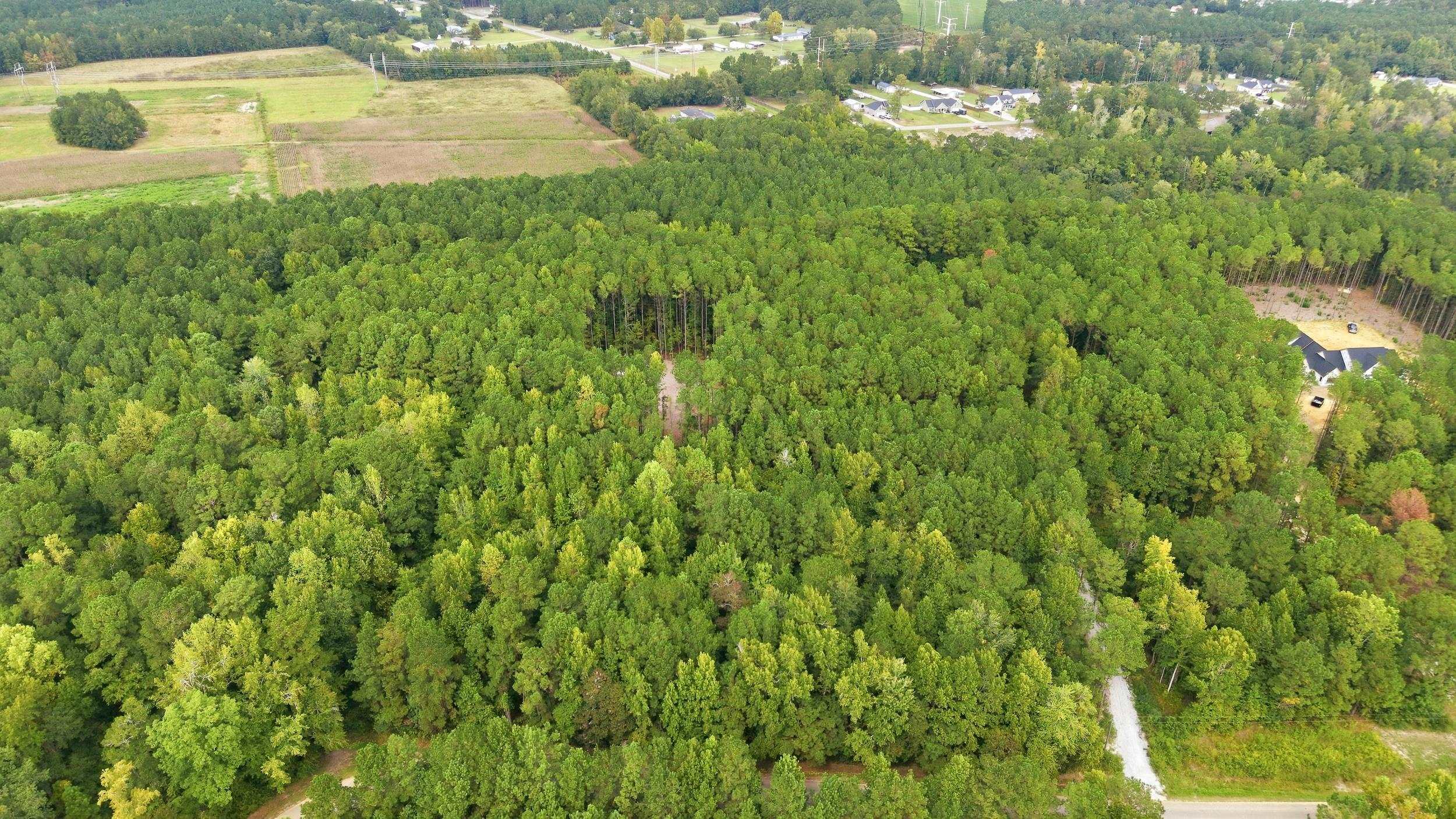 Lot 3 Daphane Dr. Property Photo 5