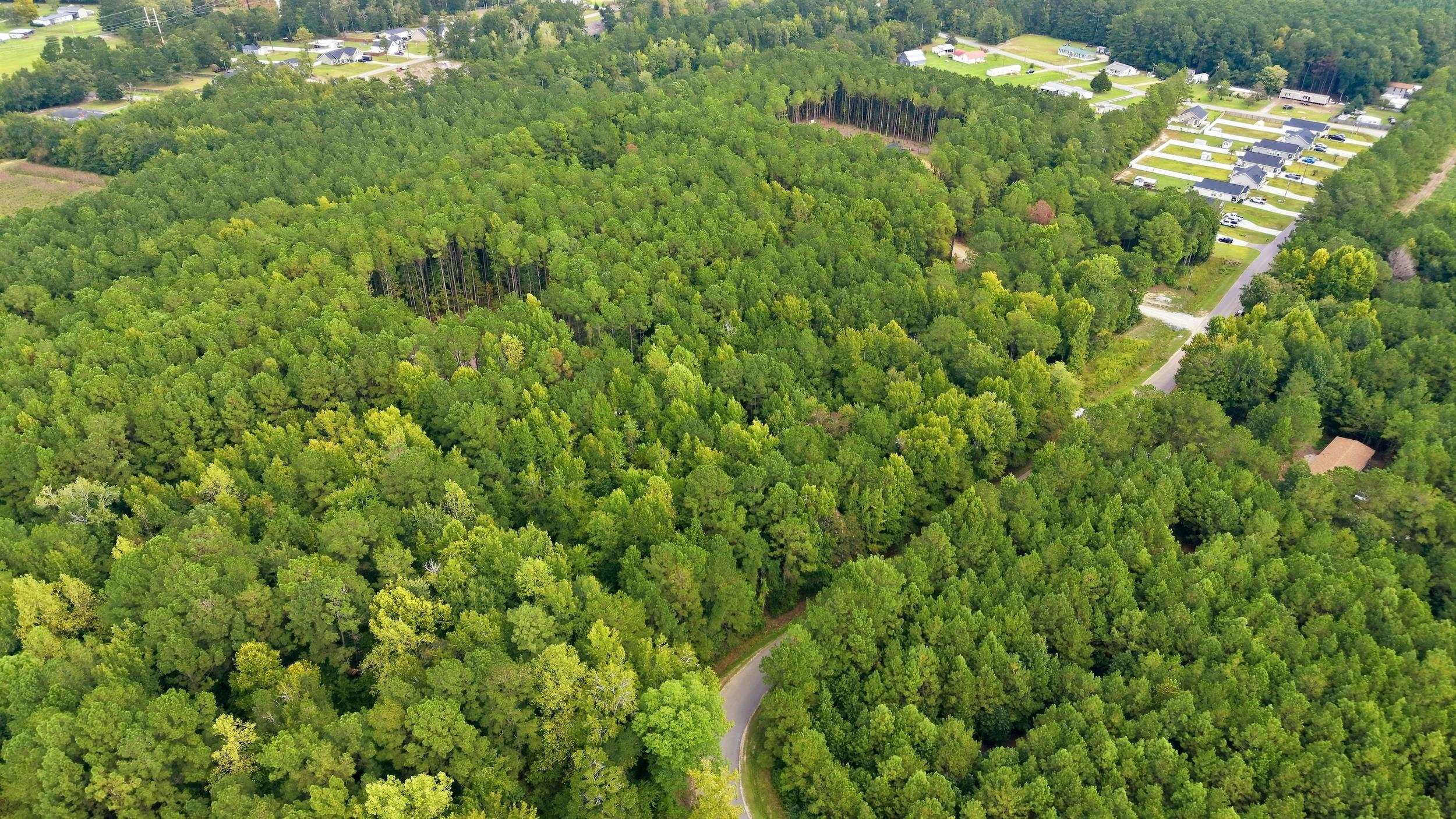 Lot 3 Daphane Dr. Property Photo 8