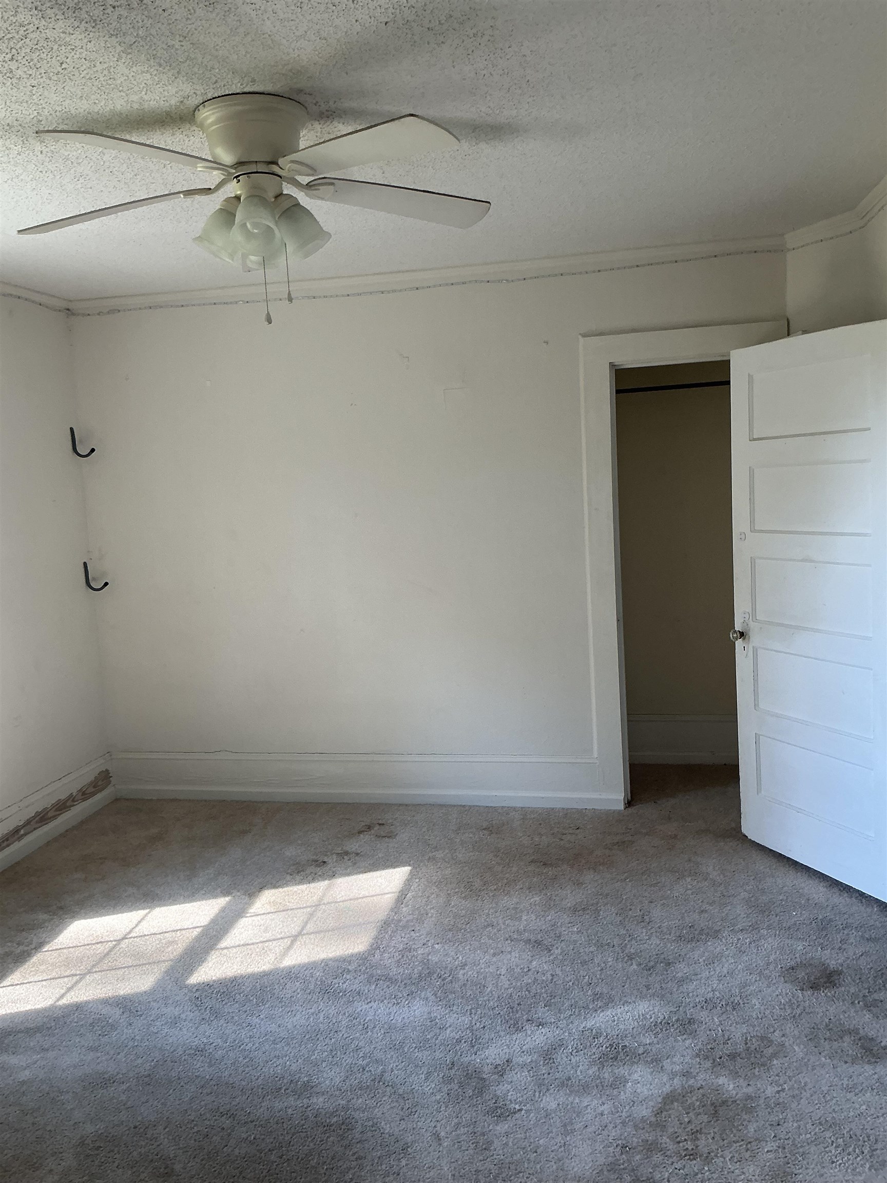 616 E Hampton St. Property Photo 22