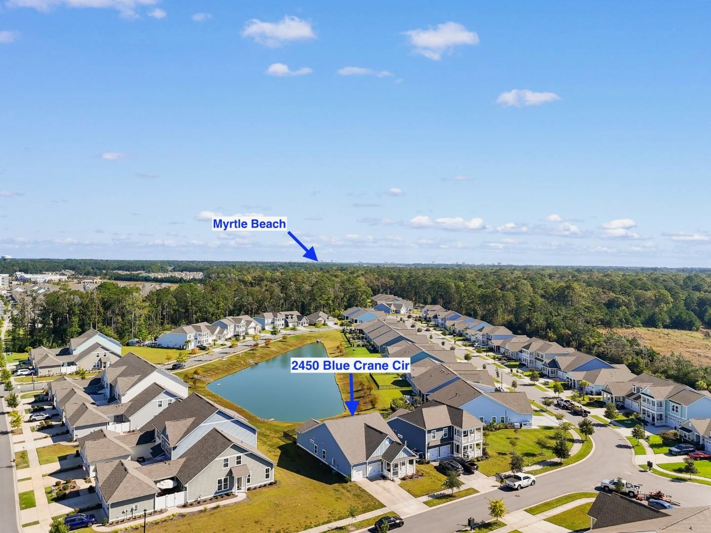2450 Blue Crane Circle Property Photo 38