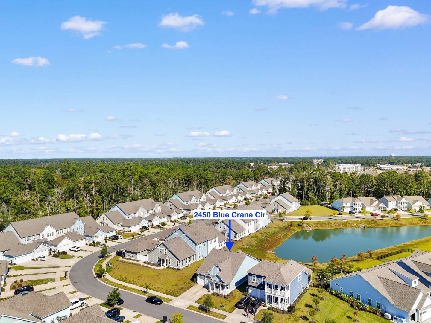 2450 Blue Crane Circle Property Photo 39