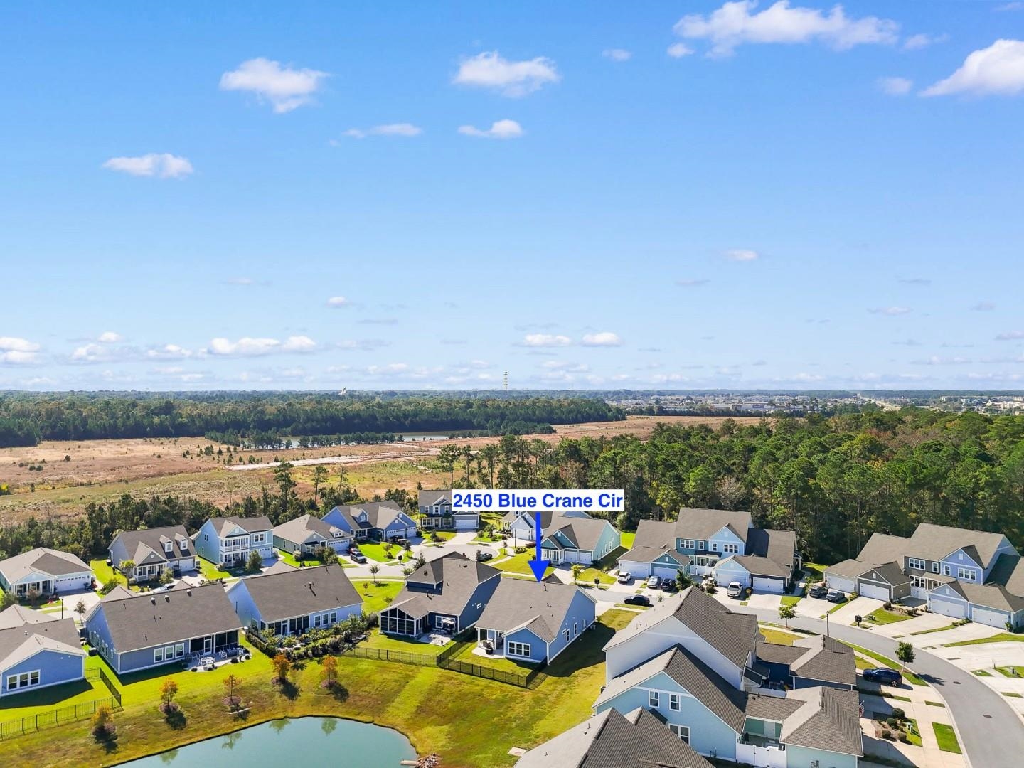 2450 Blue Crane Circle Property Photo 40