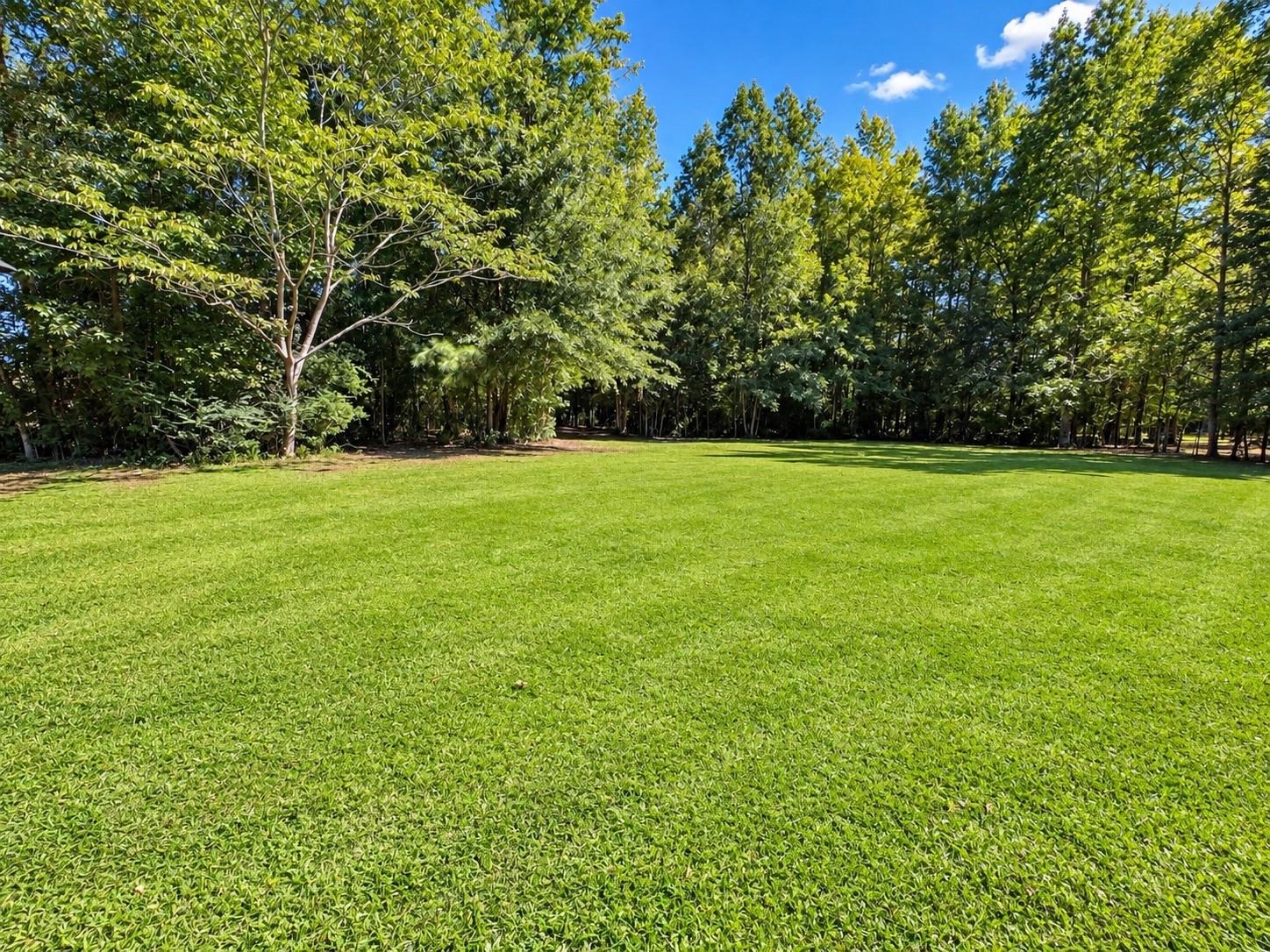 1021 Turkey Pen Rd. Property Photo 10