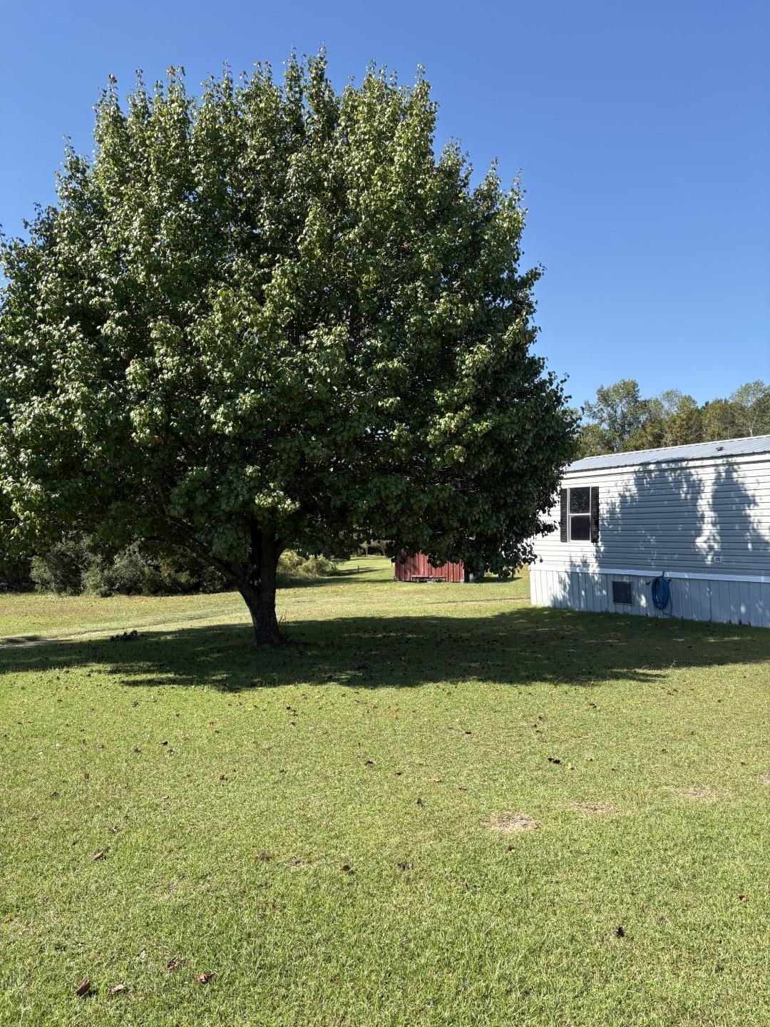 138 Stallion Ct. Property Photo 13