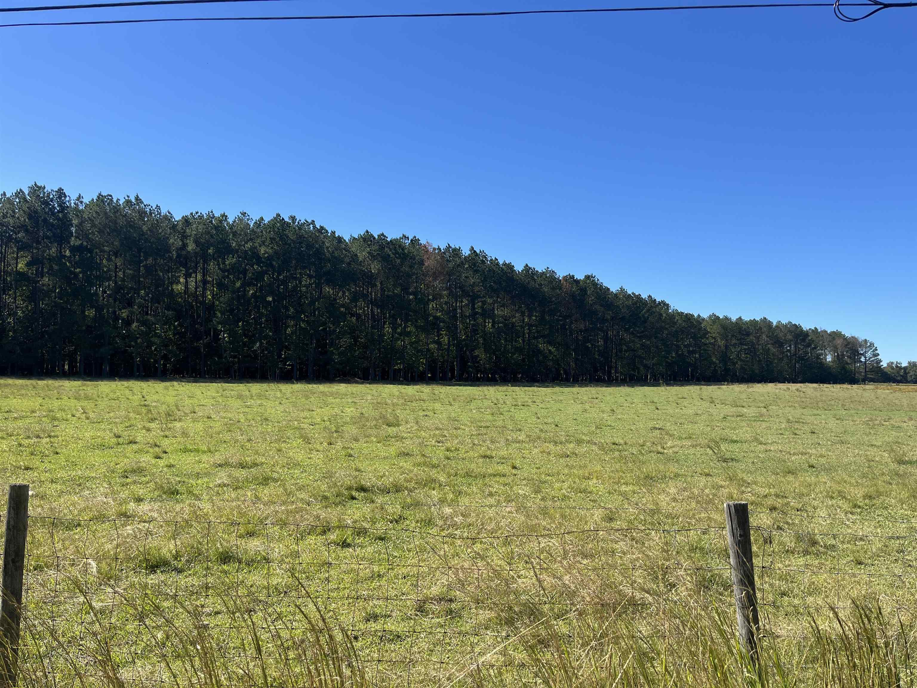 Screwpin Rd Property Photo 5