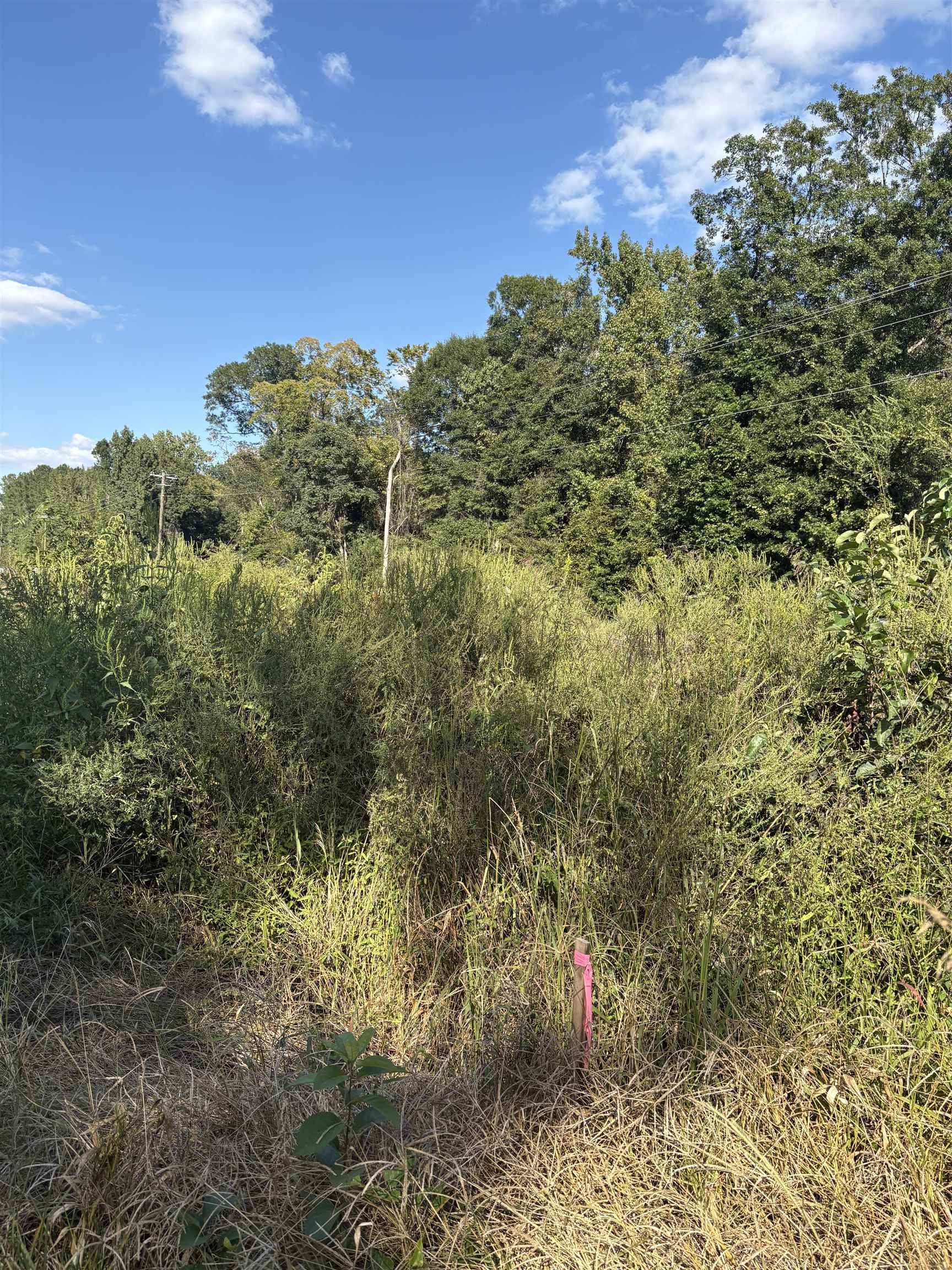 Tbd Red Bluff Rd. Property Photo 2