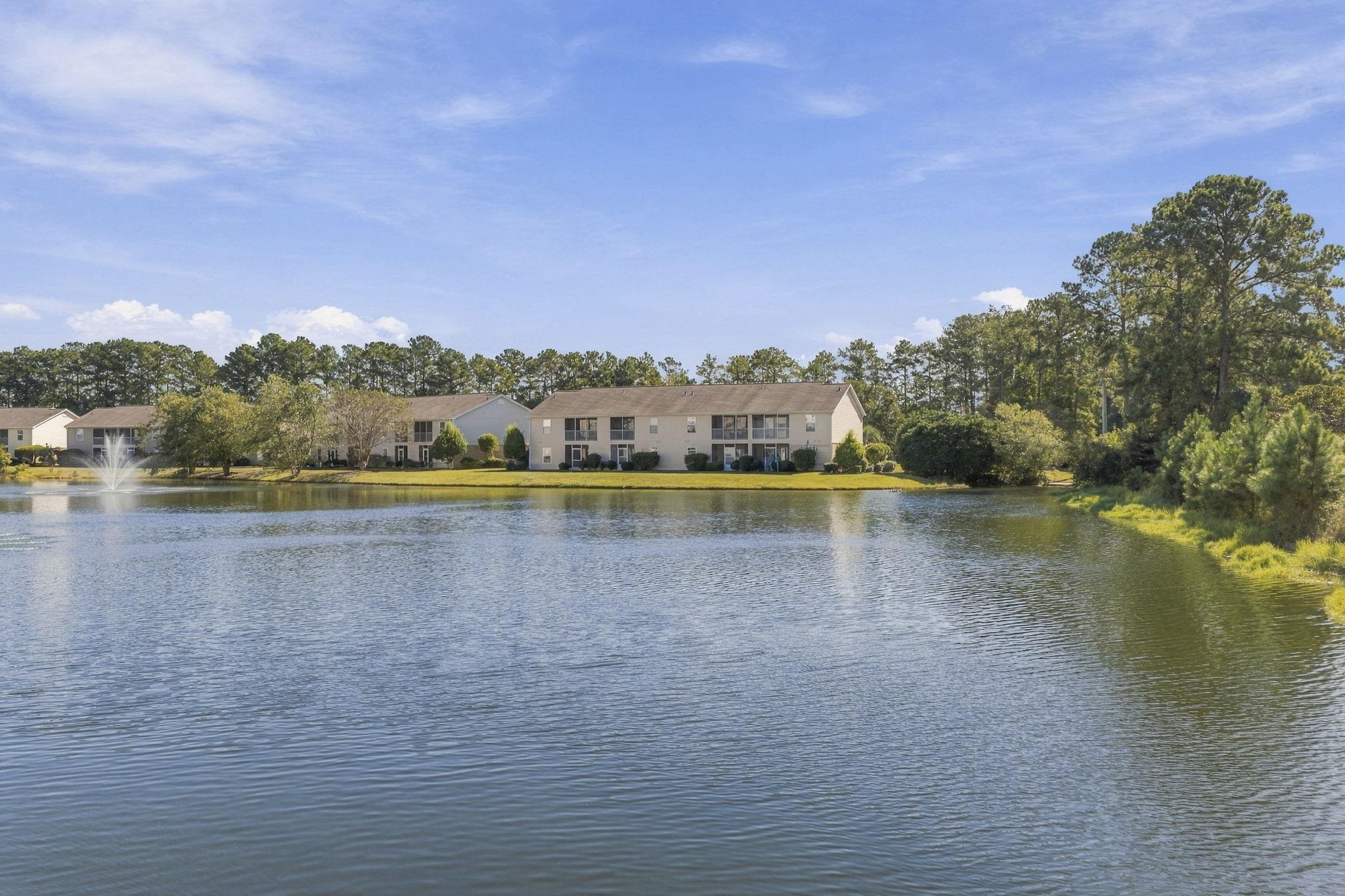3698 Clay Pond Village Ln. Property Photo 22