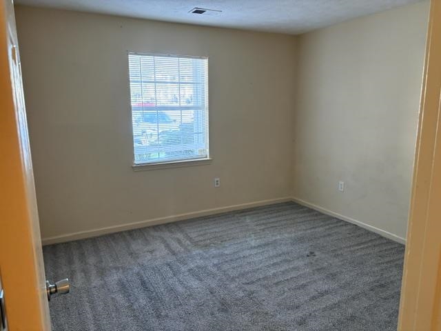 608 Waterway Village Ave. Property Photo 4