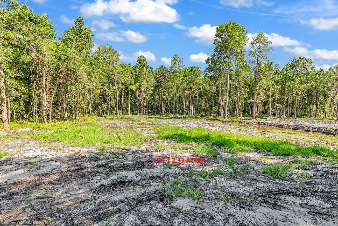 Tbd Lot 1 Coats Rd. Property Photo 6