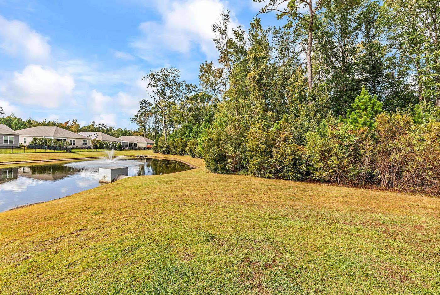 205 Forestbrook Cove Circle Property Photo 42