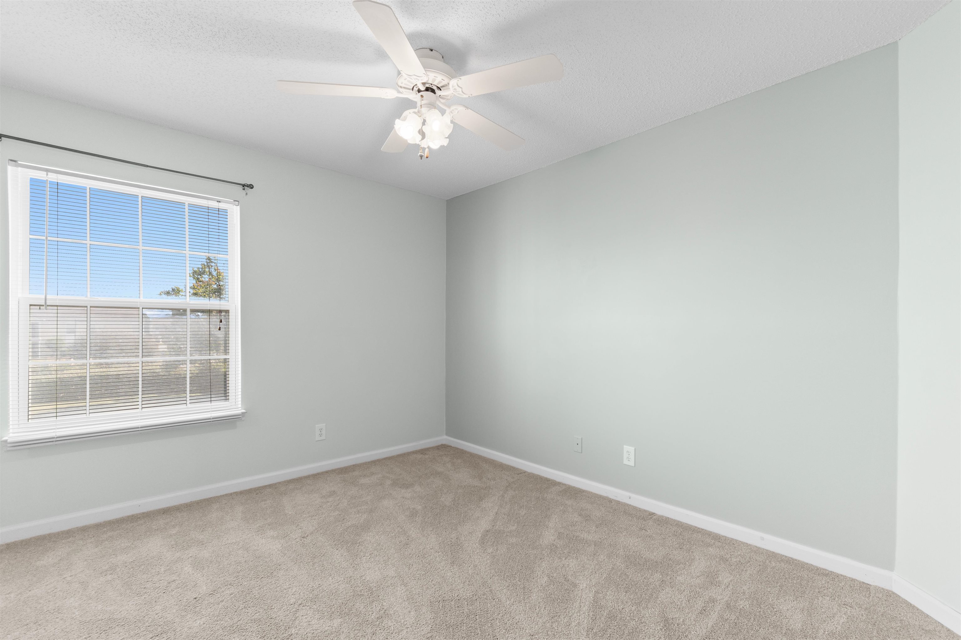 2268 Essex Dr. Property Photo 17