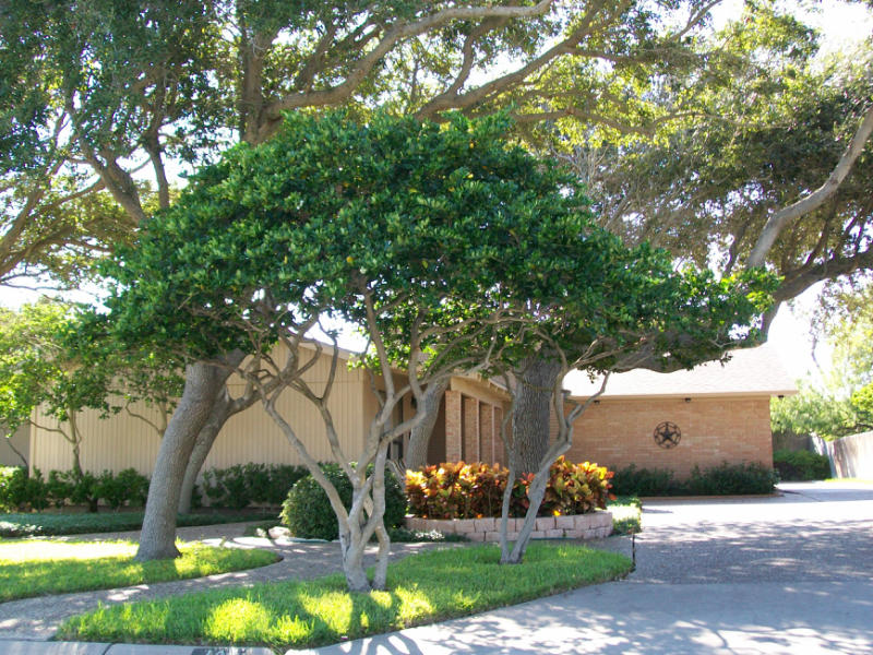 109 W Janin Circ Property Photo 1