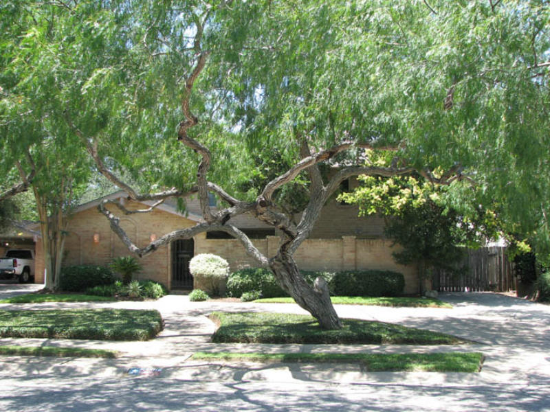 4918 Oakmont Dr Property Photo 1