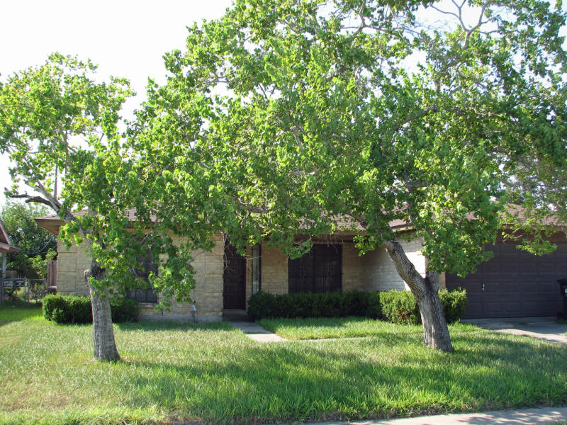 4249 Mountain View Property Photo 1