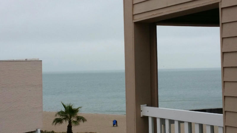 3938 Surfside #2319 Blvd Property Photo 1