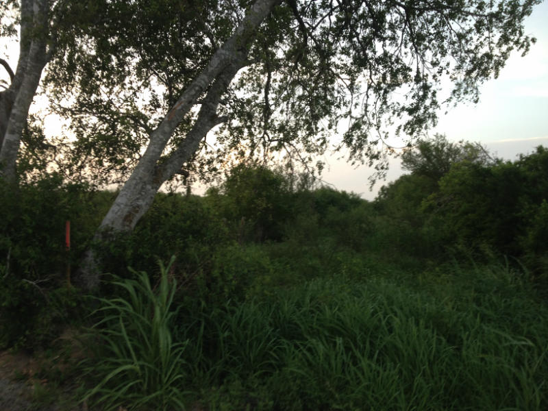 0 Hwy 188/cr 2093 Property Photo 1