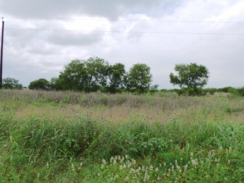 0 Hwy 359 Property Photo 1