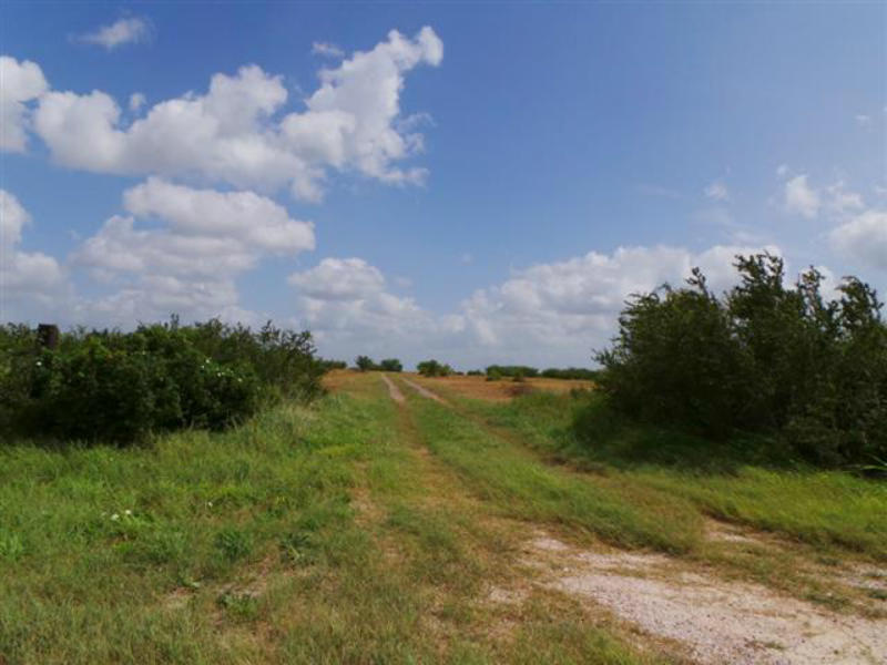 0 Cr 303 (west) Property Photo 1