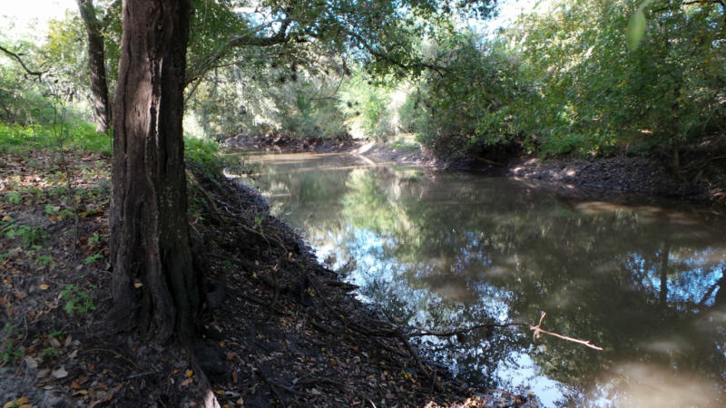 4 Hollow Tree Property Photo 1