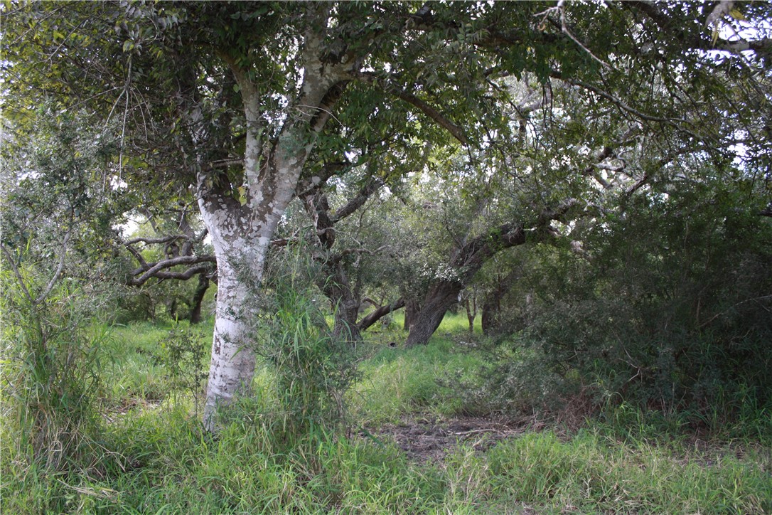 418329 Property Photo 4