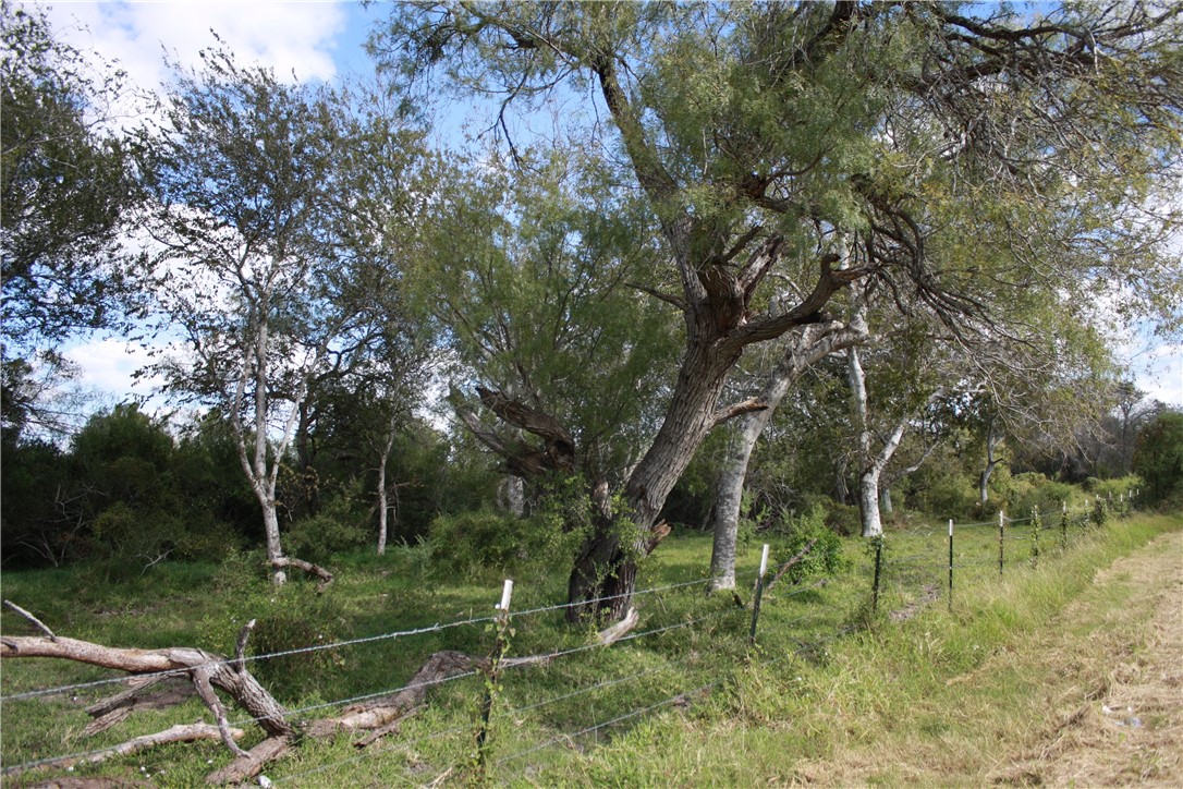 418329 Property Photo 5