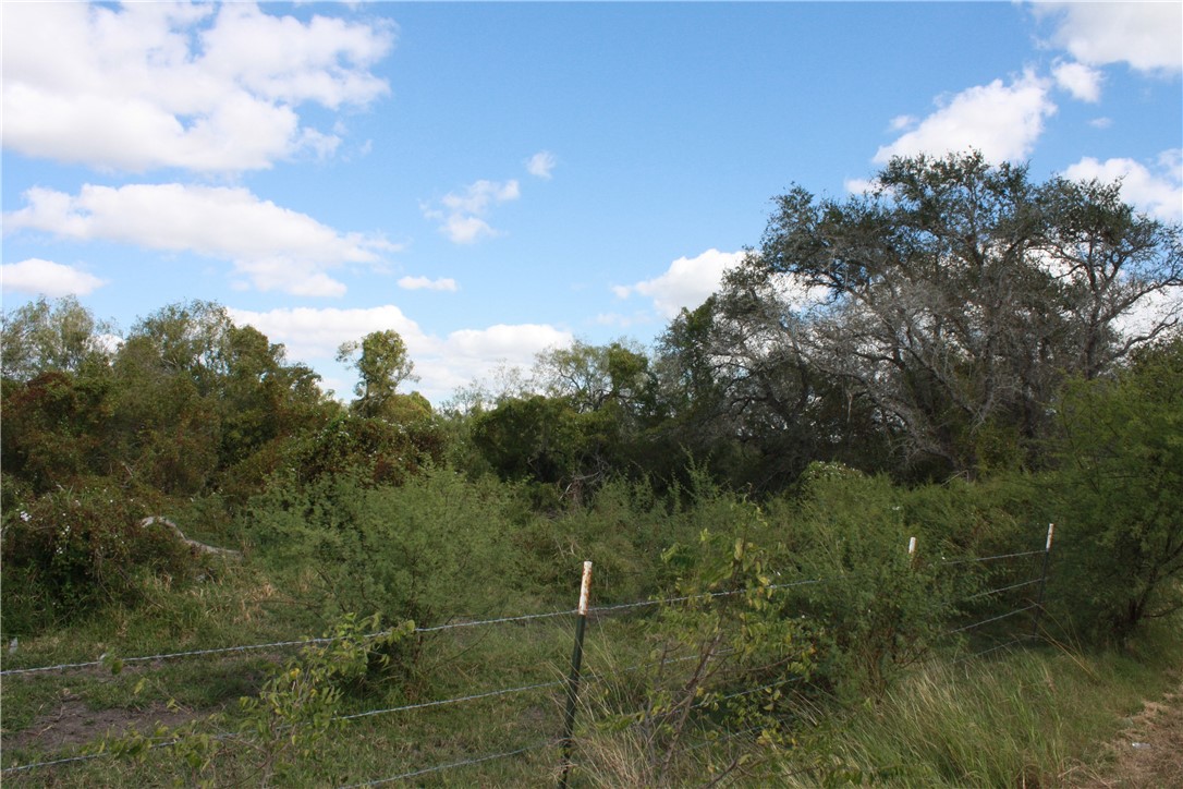 418329 Property Photo 6