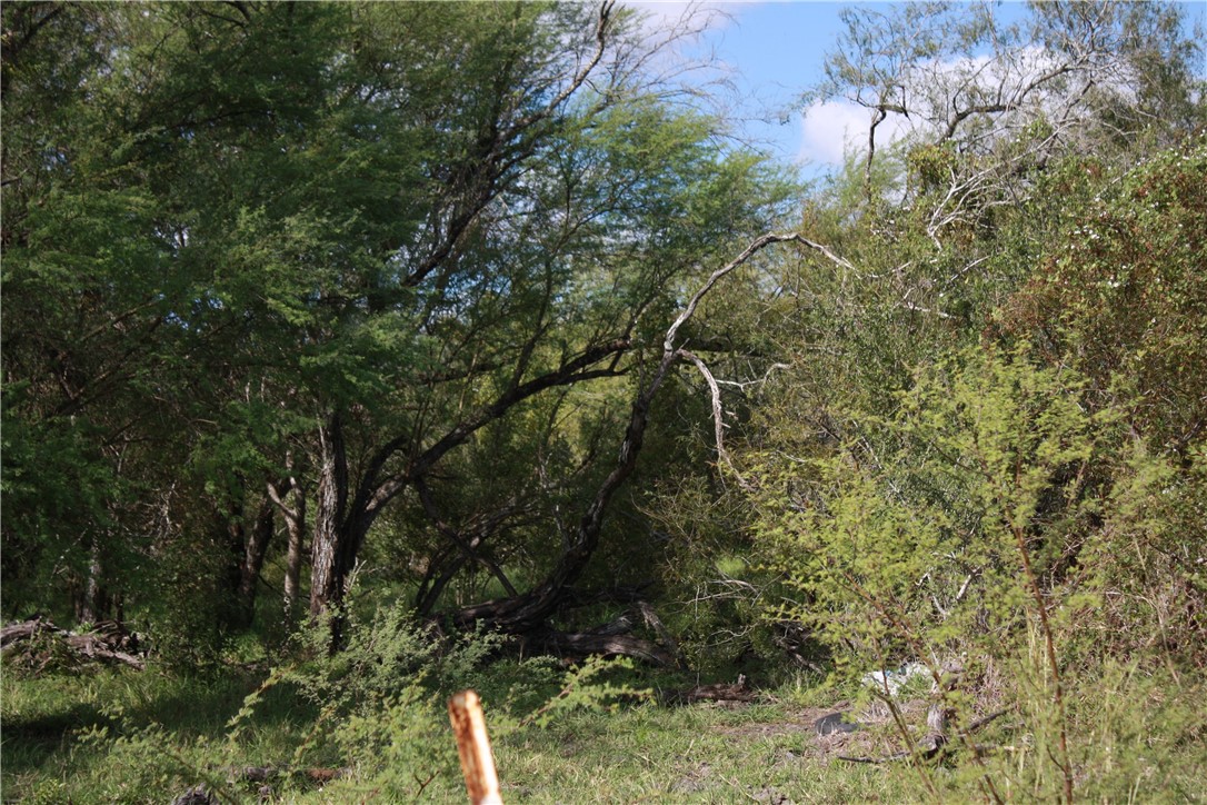 418329 Property Photo 7